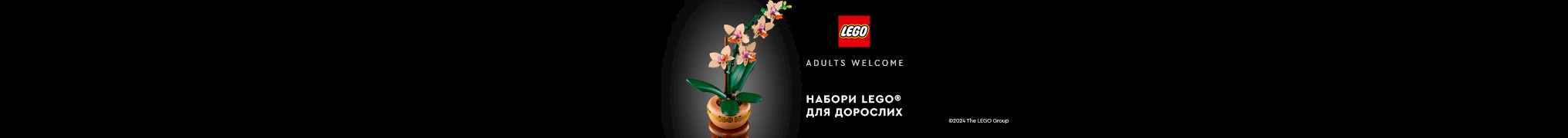 Пропозиція для дорослих фанатів LEGO