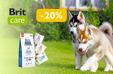 Знижка до 20% на корм та ласощі для чотирилапих ТМ Brit Care!