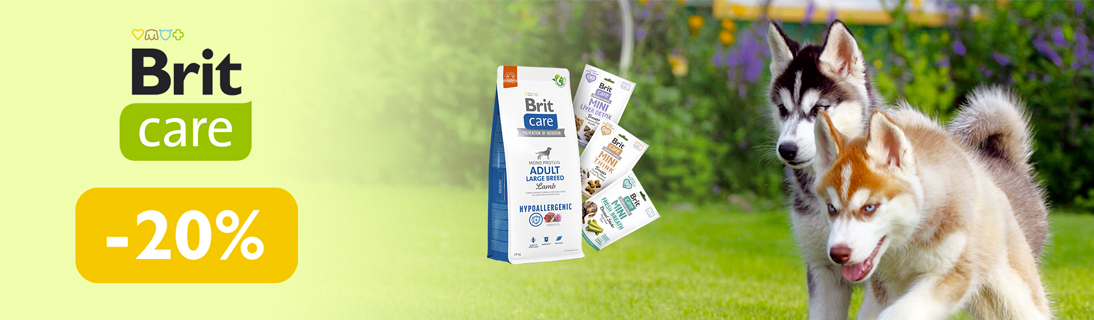 
                                                            Знижка до 20% на корм та ласощі для чотирилапих ТМ Brit Care!                            