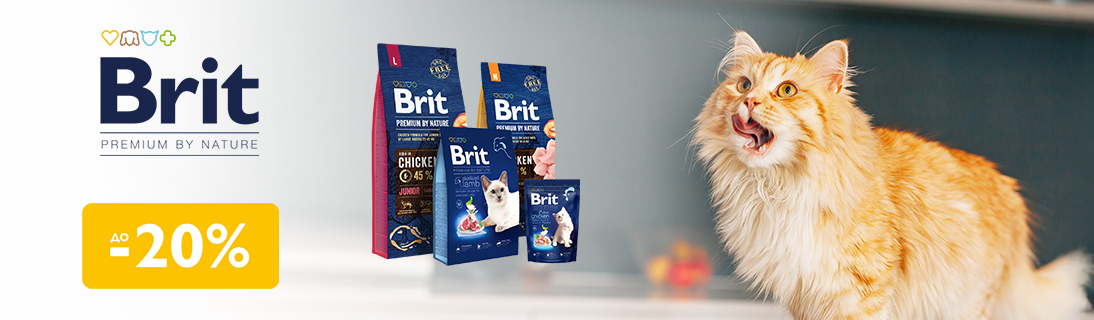 
                                                            Знижка до 20% на сухий корм для хвостиків ТМ Brit Premium!                            