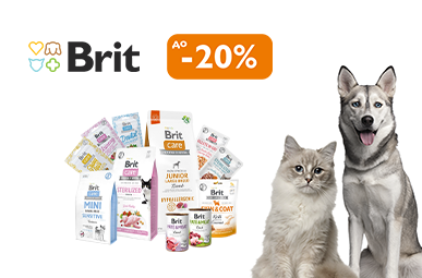 Знижка до 20% на корм та ласощі для чотирилапих ТМ Brit Care!