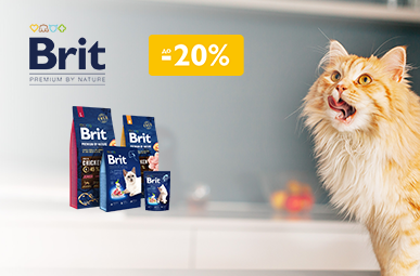 Знижка до 20% на сухий корм для хвостиків ТМ Brit Premium!