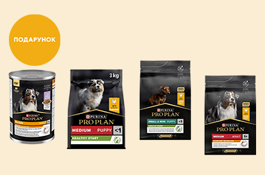Купуйте сухий корм для собак Purina Pro Plan 3 кг та отримуйте Вологий корм для дорослих собак Purina Pro Plan Adult шматочки в желе з індичкою 400 г у подарунок!