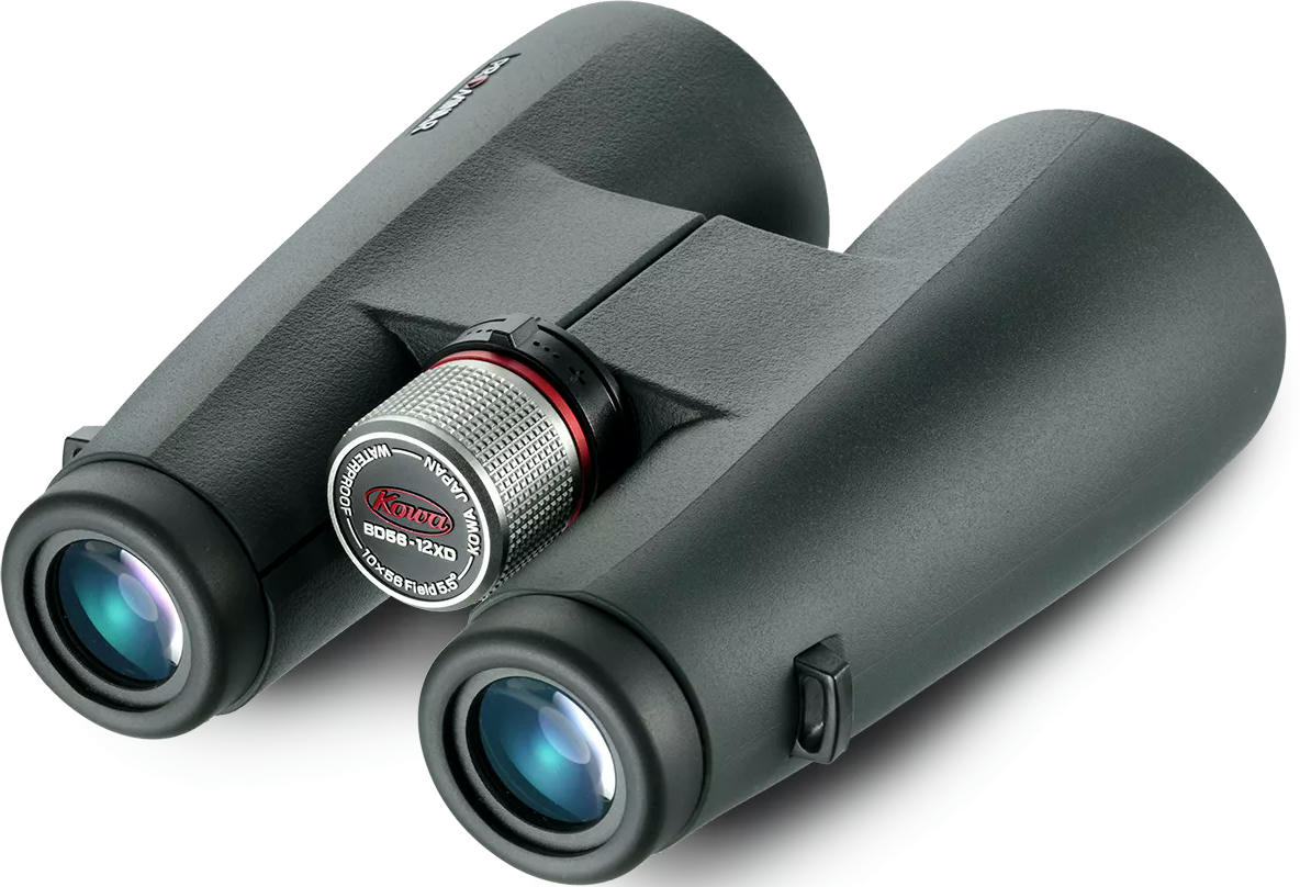 Бінокль Kowa BD 12x56 XD Prominar (11117)фото3