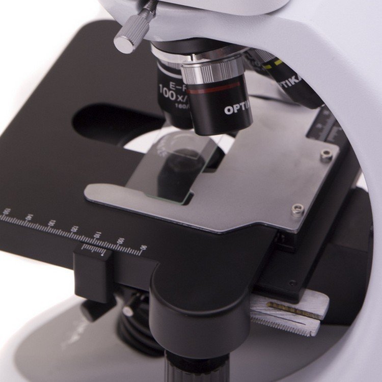 Микроскоп Optika B-292PL 40x-1000x Bino (920740) фото 3