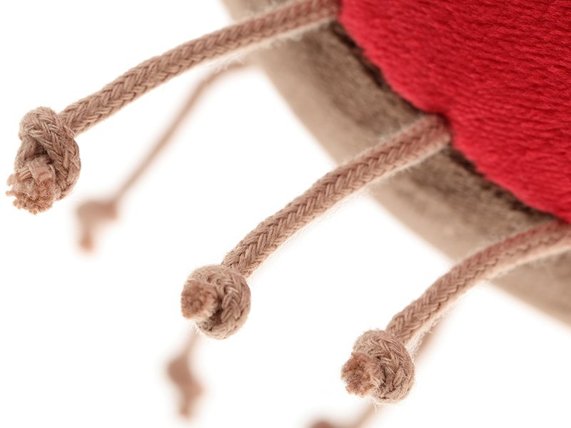 Погремушка sigikid Божья коровка 11.5 сантиметров (41886SK) фото