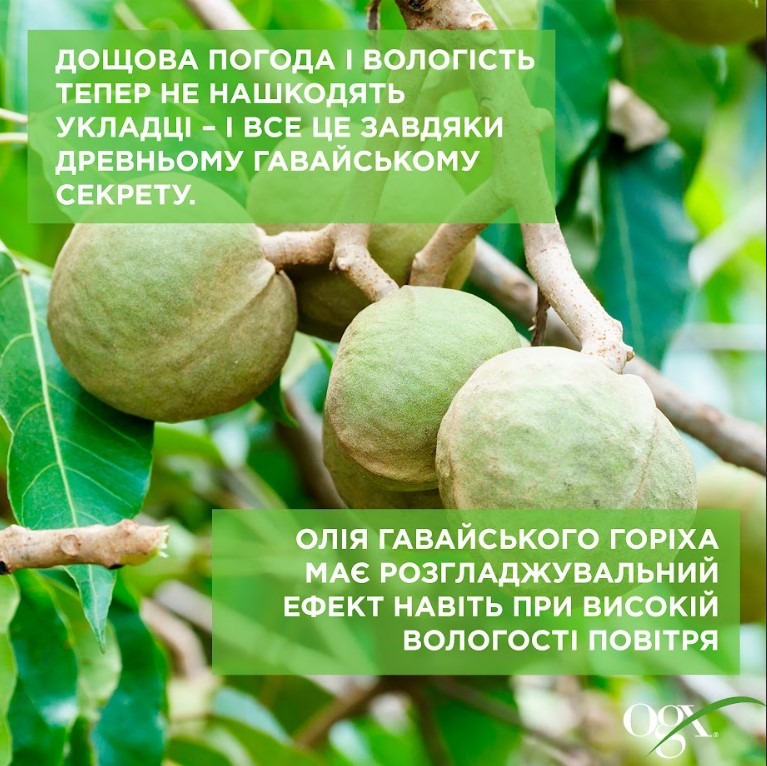 Кондиціонер зволожуючий OGX з олією гавайського горіха 385млфото