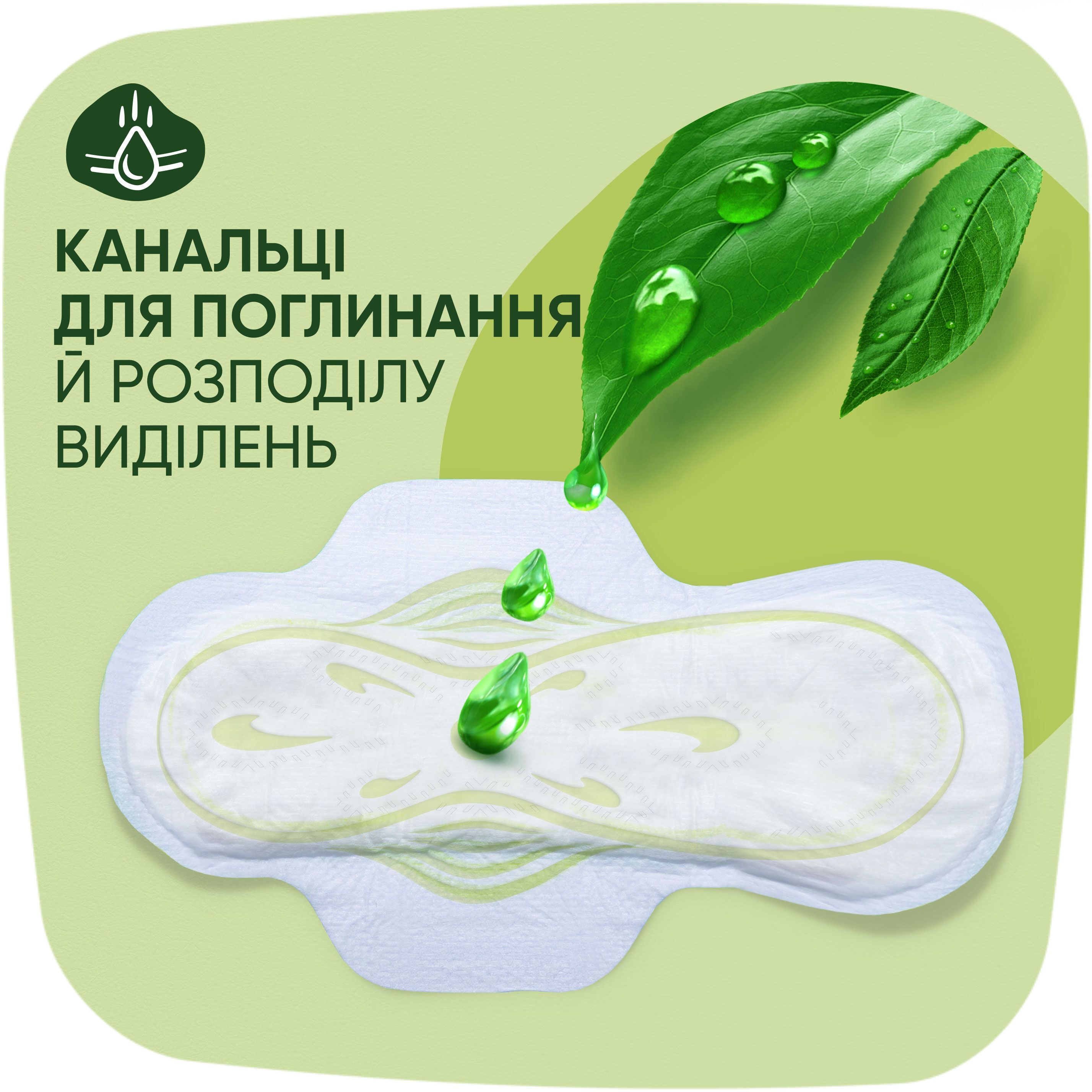 Гігієнічні прокладки Naturella Classic Normal 10 штфото