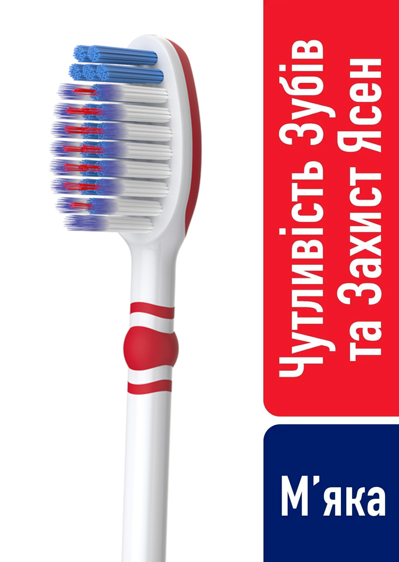 Зубна щітка Sensodyne Чутливість зубів і захист ясенфото3