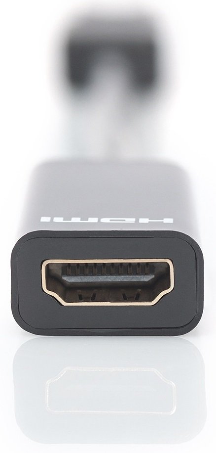 Адаптер DIGITUS DisplayPort to HDMI (DB-340400-001-S)фото4