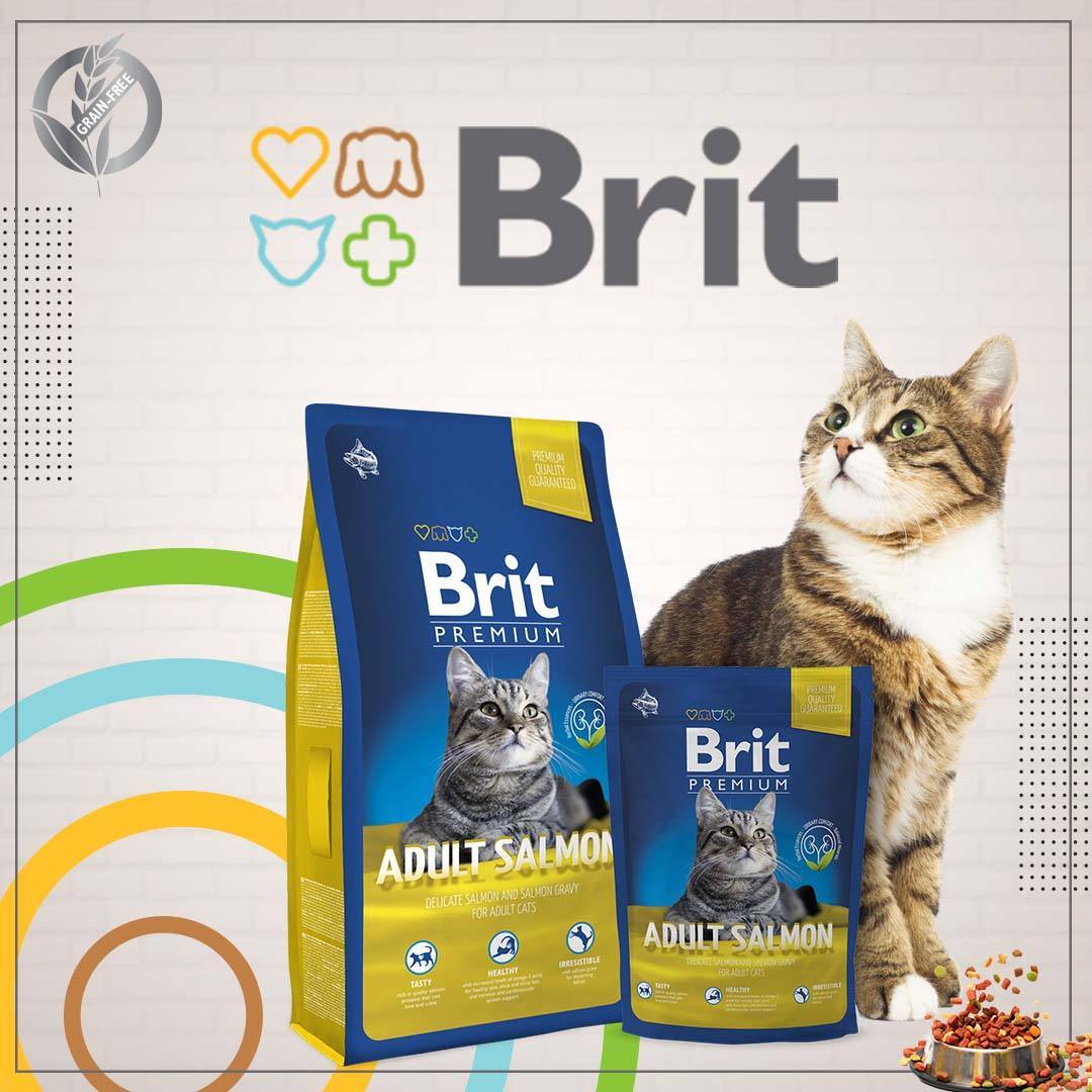 Сухой корм для кошек Brit Premium Cat Adult Salmon 0,8 кг фото 3
