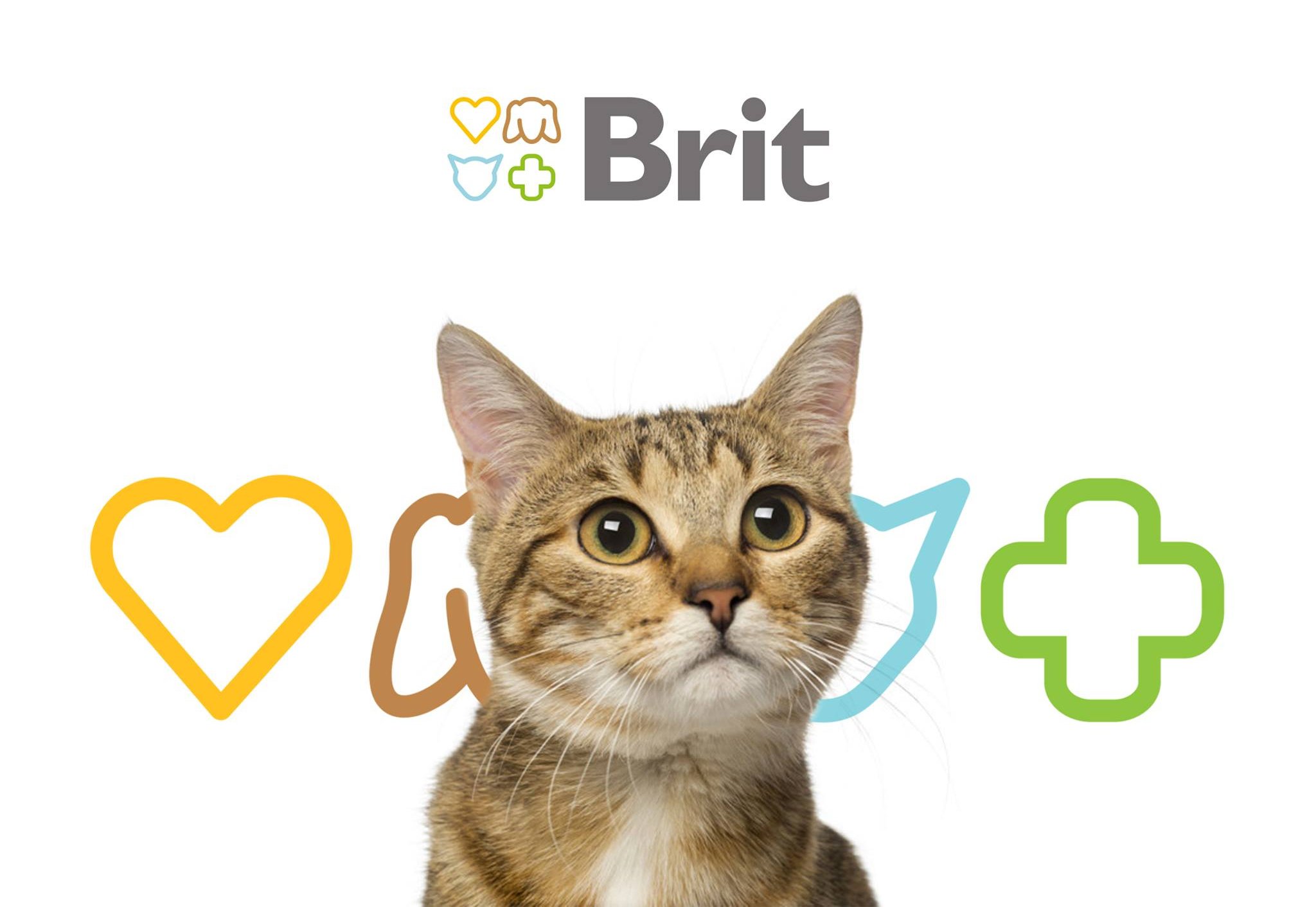Сухий корм для кішок з чутливим травленням Brit Premium by Nature Cat Sensitive з ягням 1,5 кгфото5