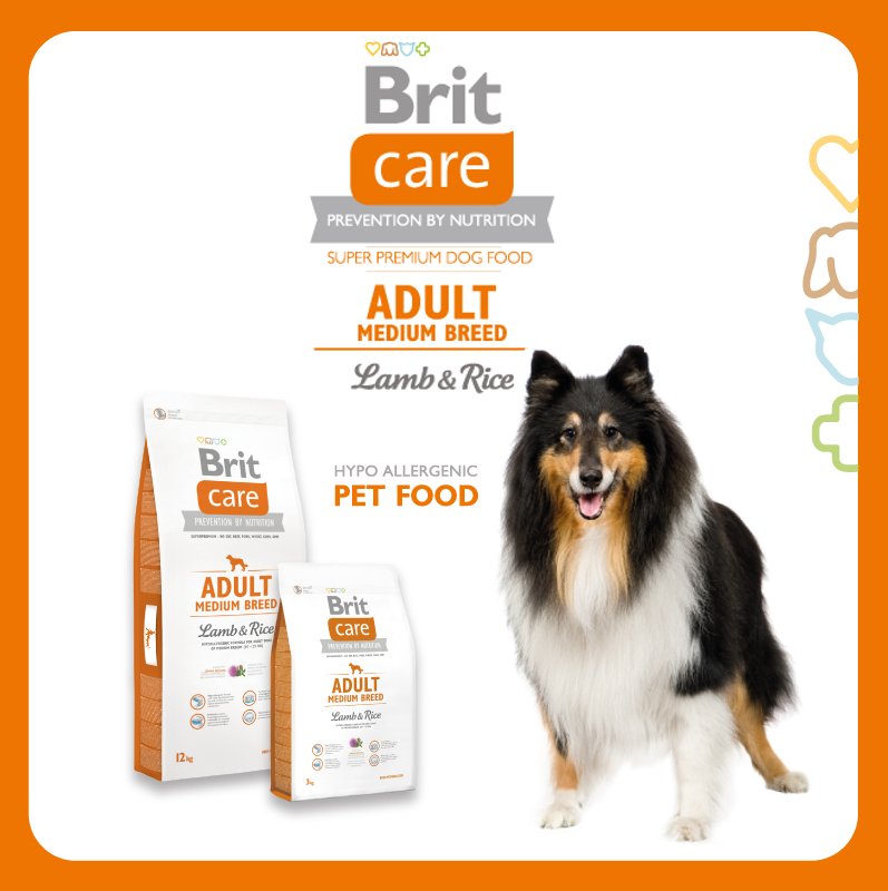 Сухий корм для дорослих собак середніх порід Brit Care Adult Medium Breed Lamb & Rice 12 кгфото2
