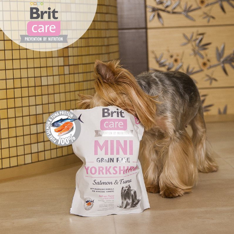 Сухой корм для взрослых собак породы йоркширский терьер Brit Care Sensitive Grain Free Yorkshire 7 кг фото 7