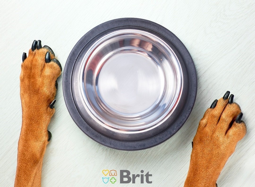Сухой корм для собак с лишним весом Brit Care Weight Loss Rabbit & Rice 3 кг фото 5