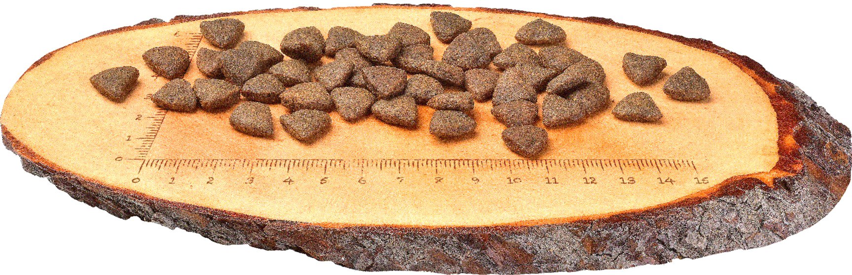 Сухий корм для дорослих собак Carnilove Salmon Adult 1.5 кгфото4