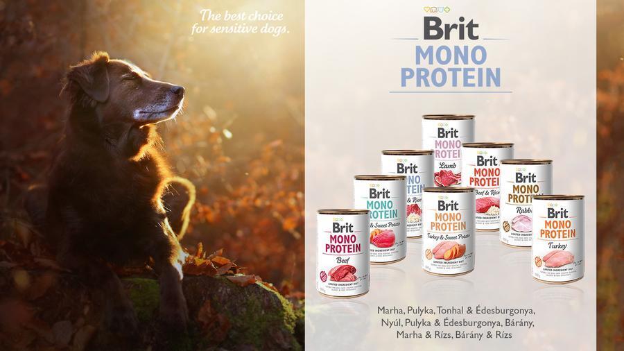 Влажный корм для собак Brit Mono Protein Dog 400г с говядиной фото 7