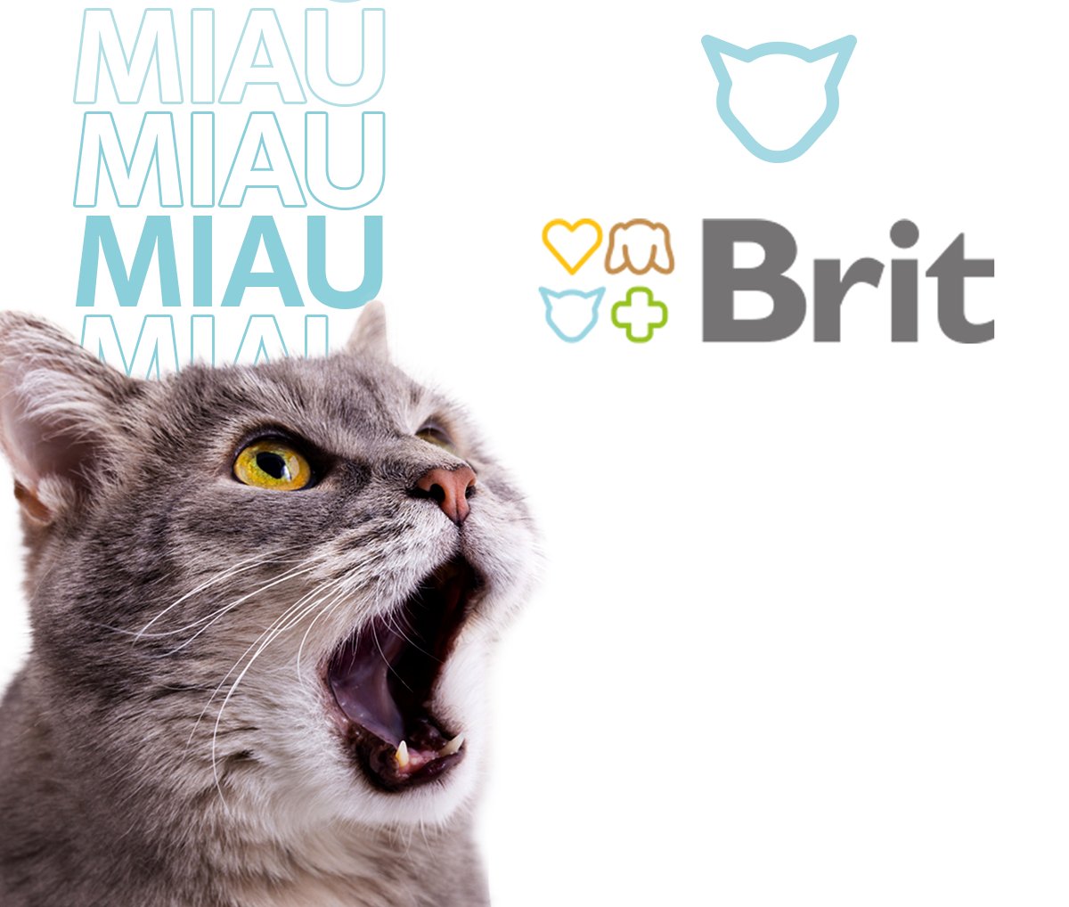 Консерва для котов Brit GF Veterinary Diet для лечения и профилактики мочекаменной болезни 200г фото 4