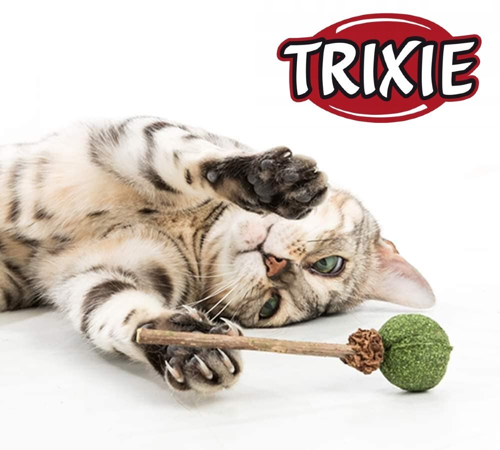 Лакомство для кошек Trixie Christmas Kitty Stars с ягненком 140г фото 4