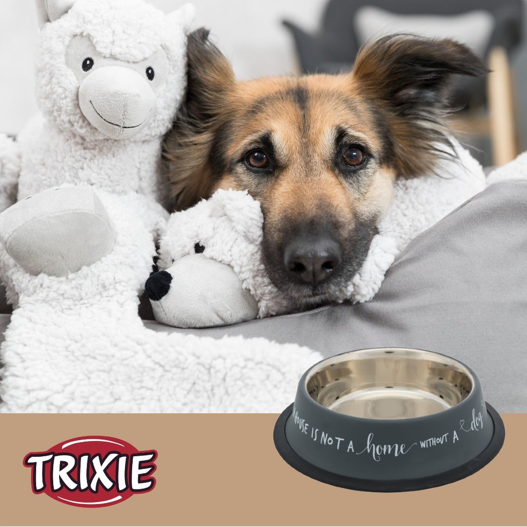 Миска для собак Trixie металлическая на резиновой основе 0.7л 21см Серая фото 2