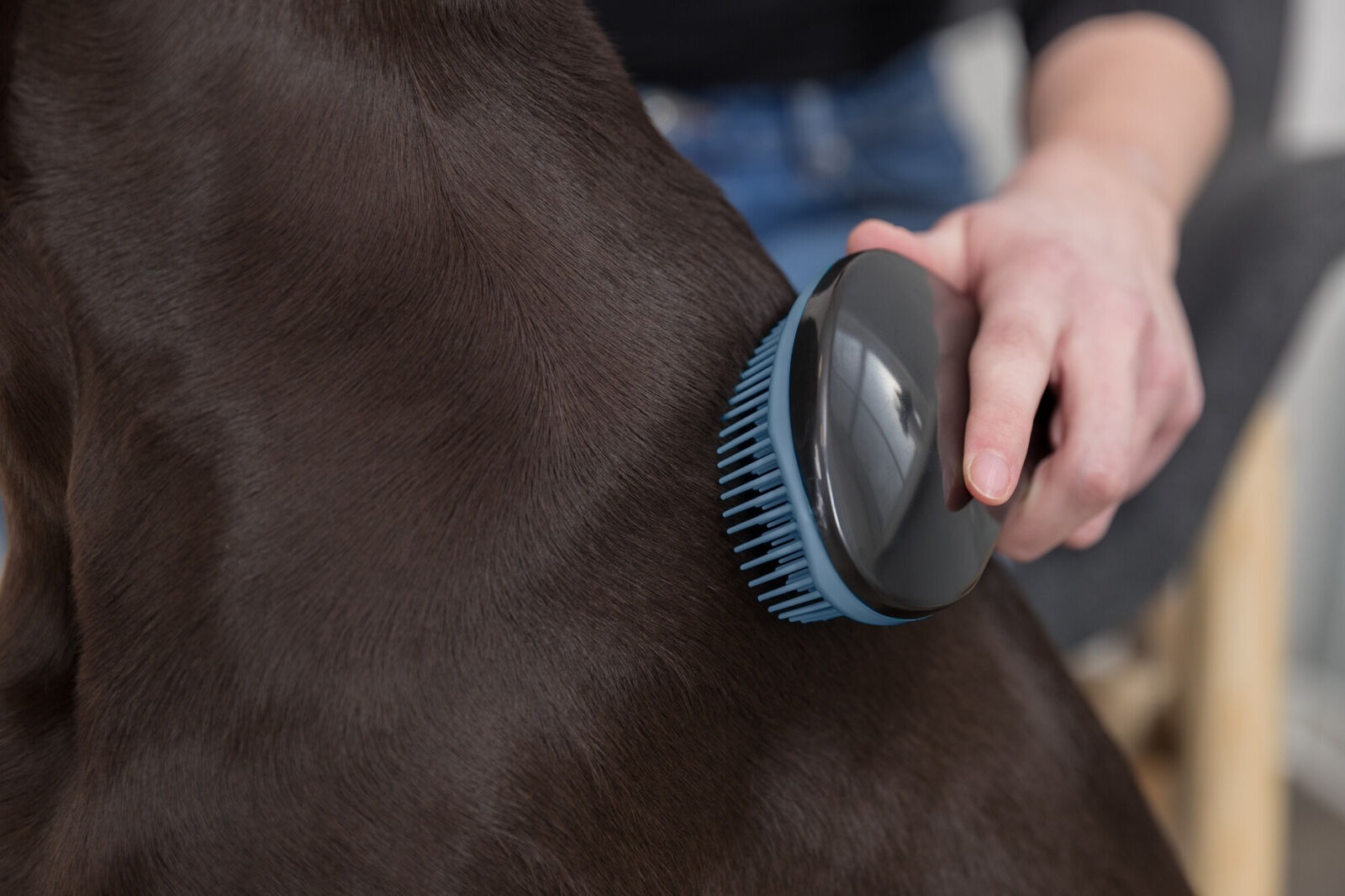 Пуходерка для собак та кішок Trixie Tangle Teezer 19смфото5