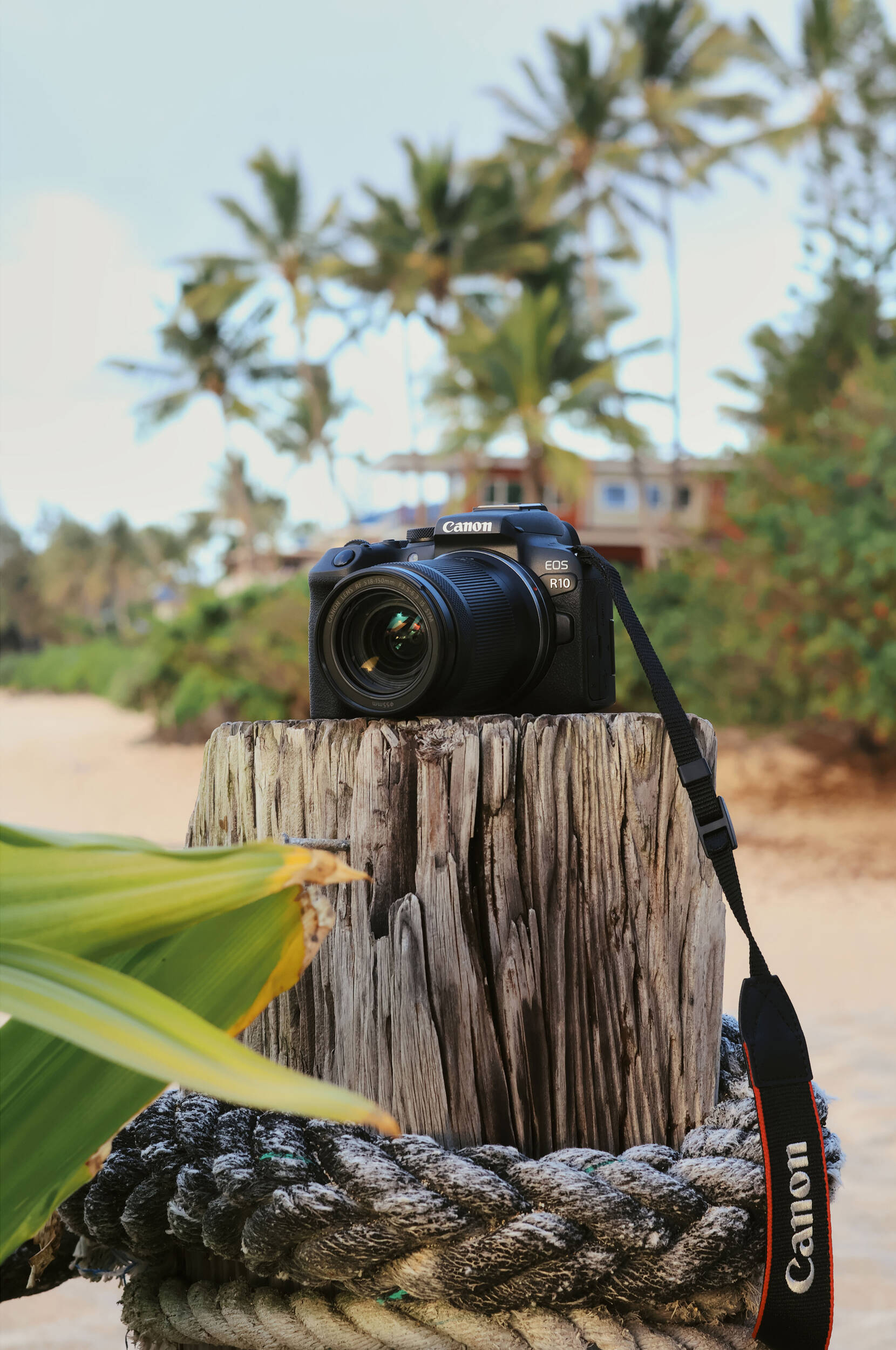 Фотоаппарат CANON EOS R10 + RF-S 18-150 IS STM (5331C048) фото 14
