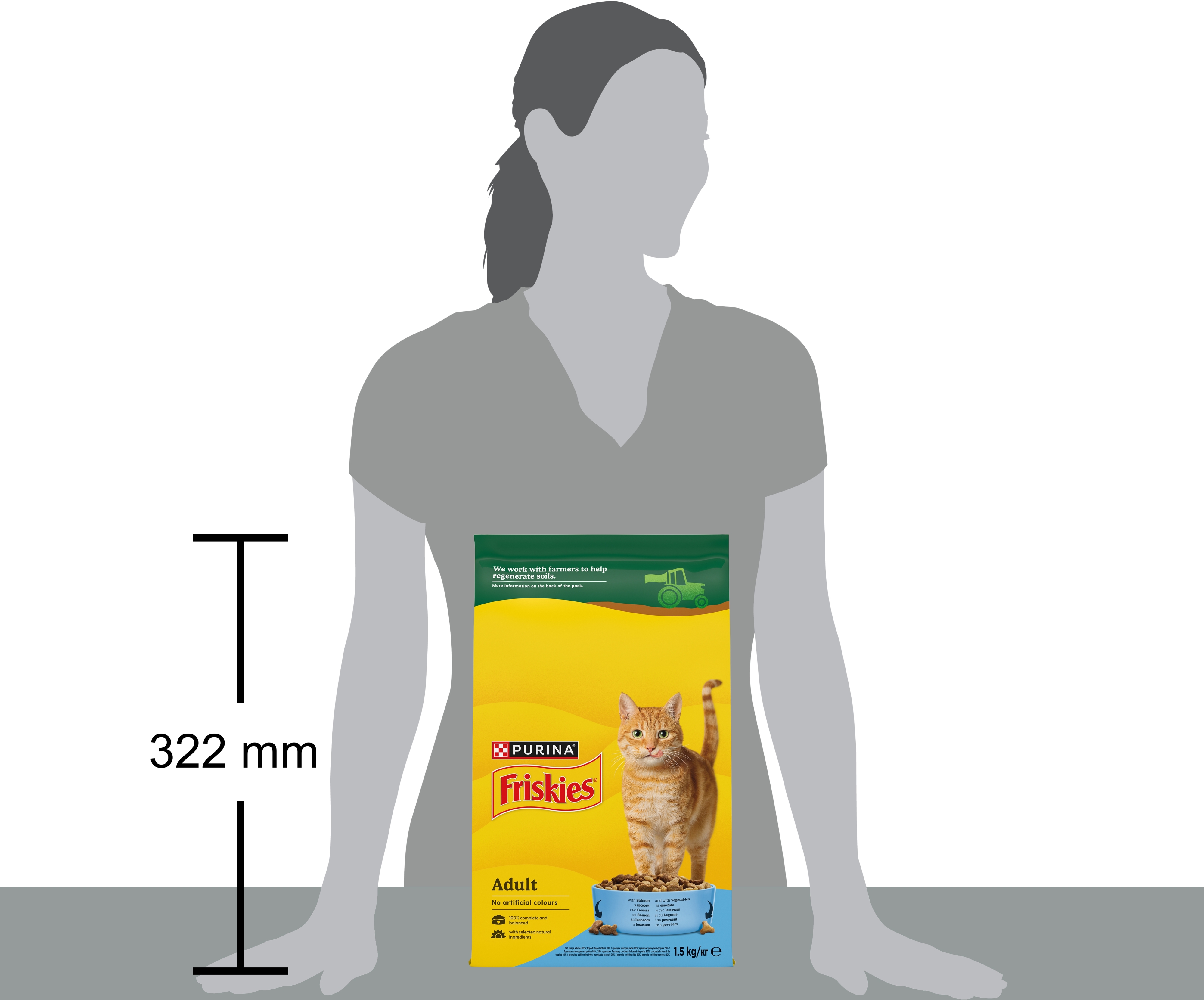 Сухий корм для котів Purina Friskies з лососем і овочами 1.5 кгфото