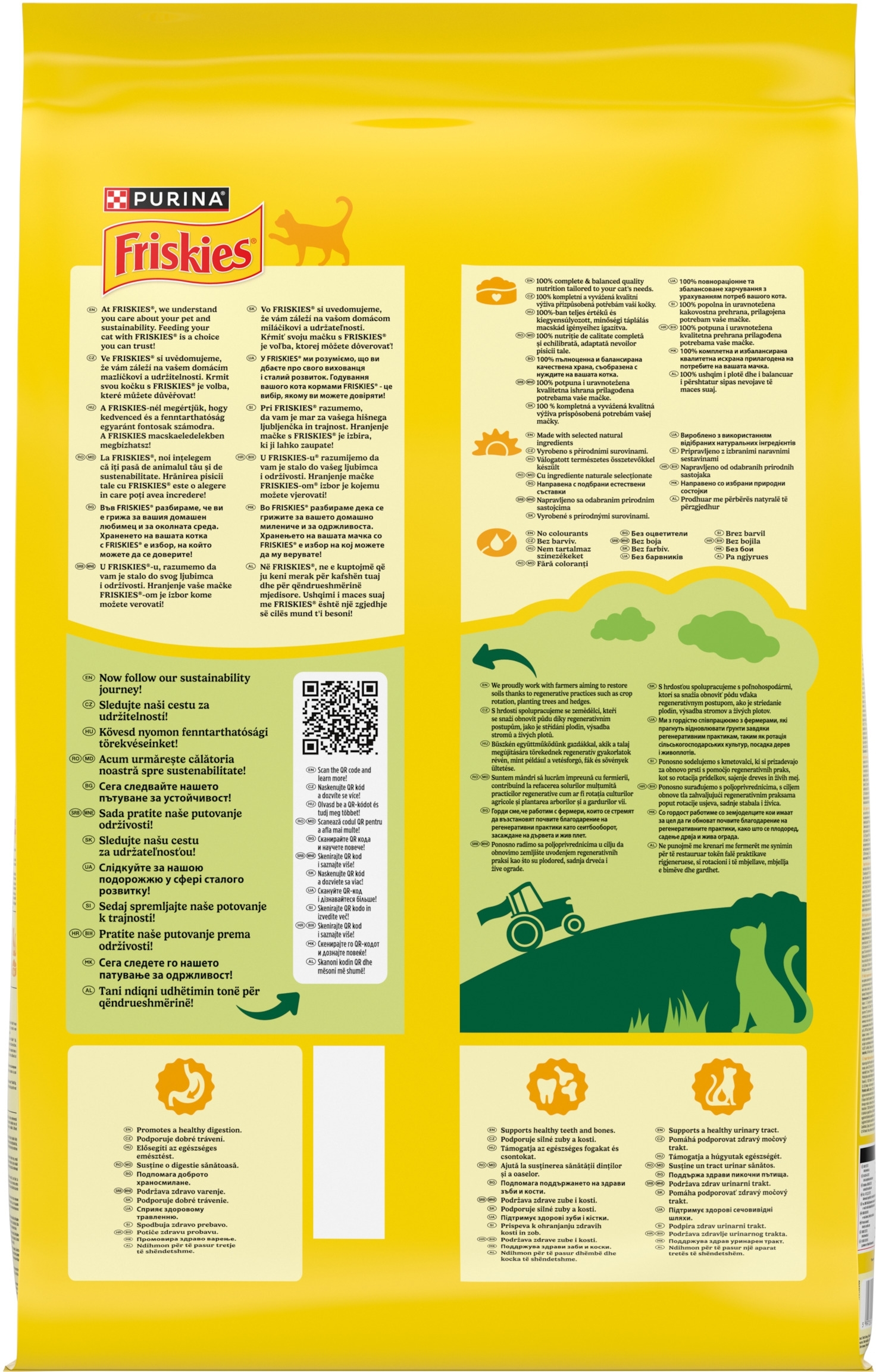 Сухий корм для дорослих котів Purina Friskies з куркою і овочами 10 кгфото