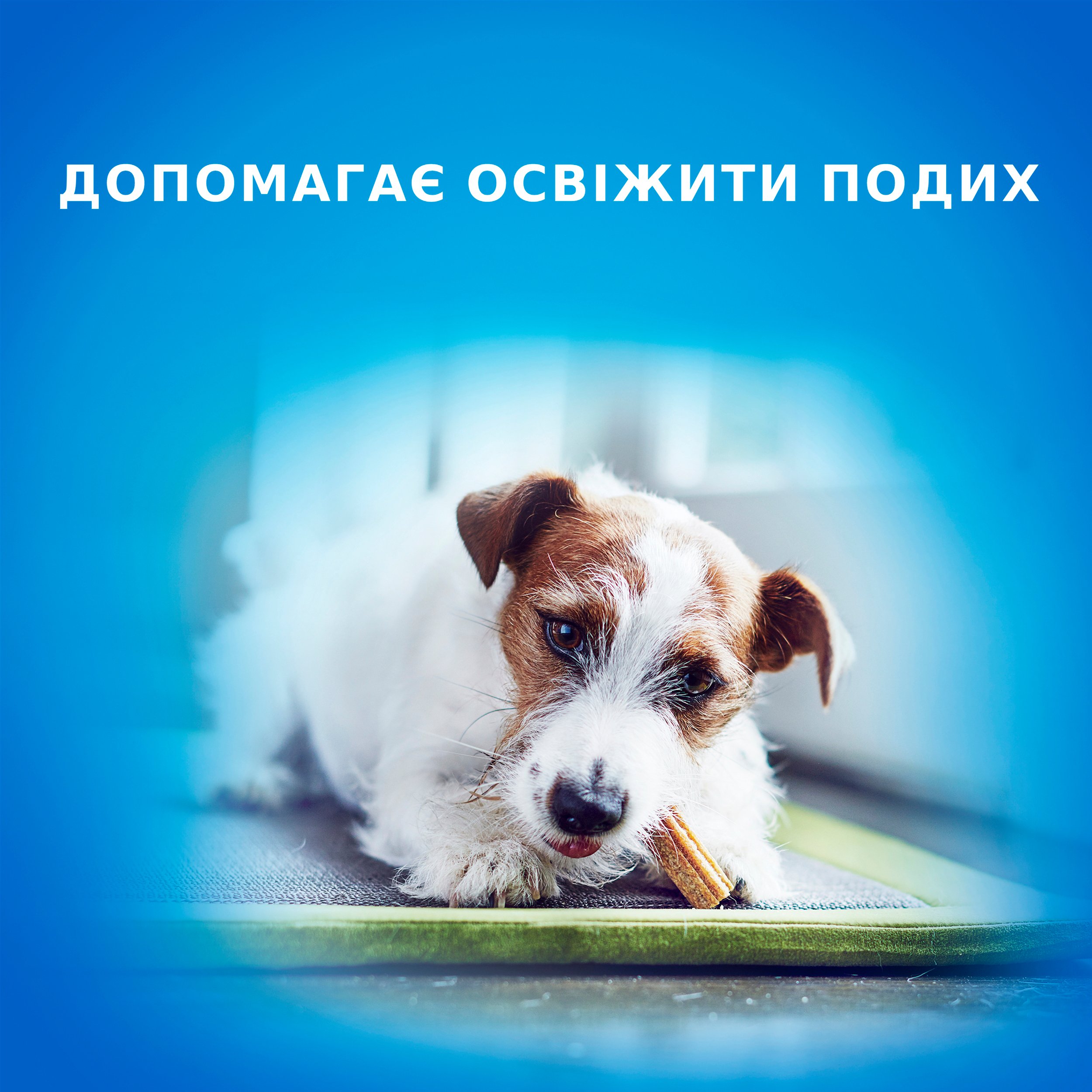 Ласощі для собак малих порід Purina DentaLife 115гфото5
