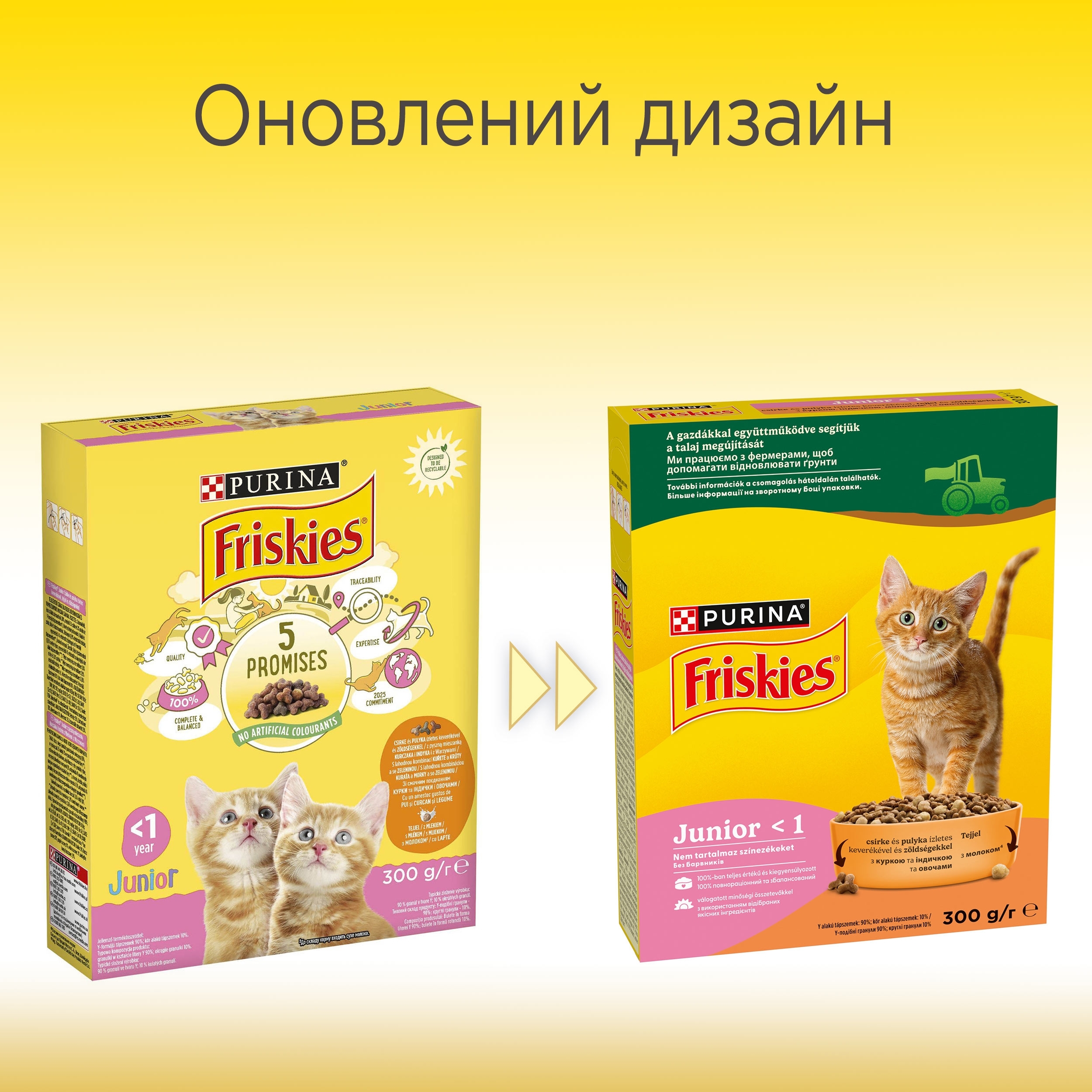 Сухий корм для кошенят Friskies Junior з куркою, індичкою, молоком і овочами 300 гфото