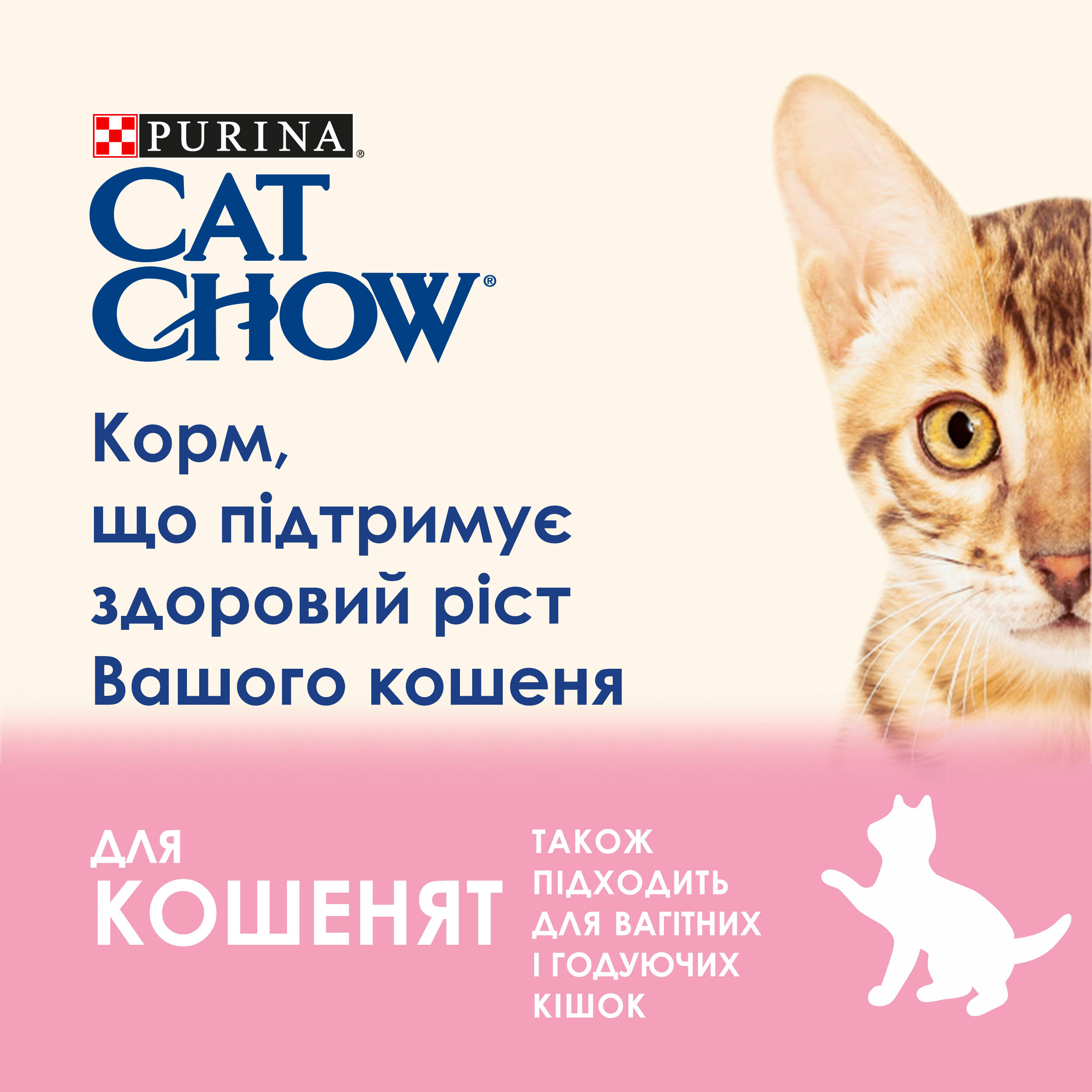 Вологий корм для кошенят Cat Chow Kitten з ягняти і цукіні в желе 85гфото