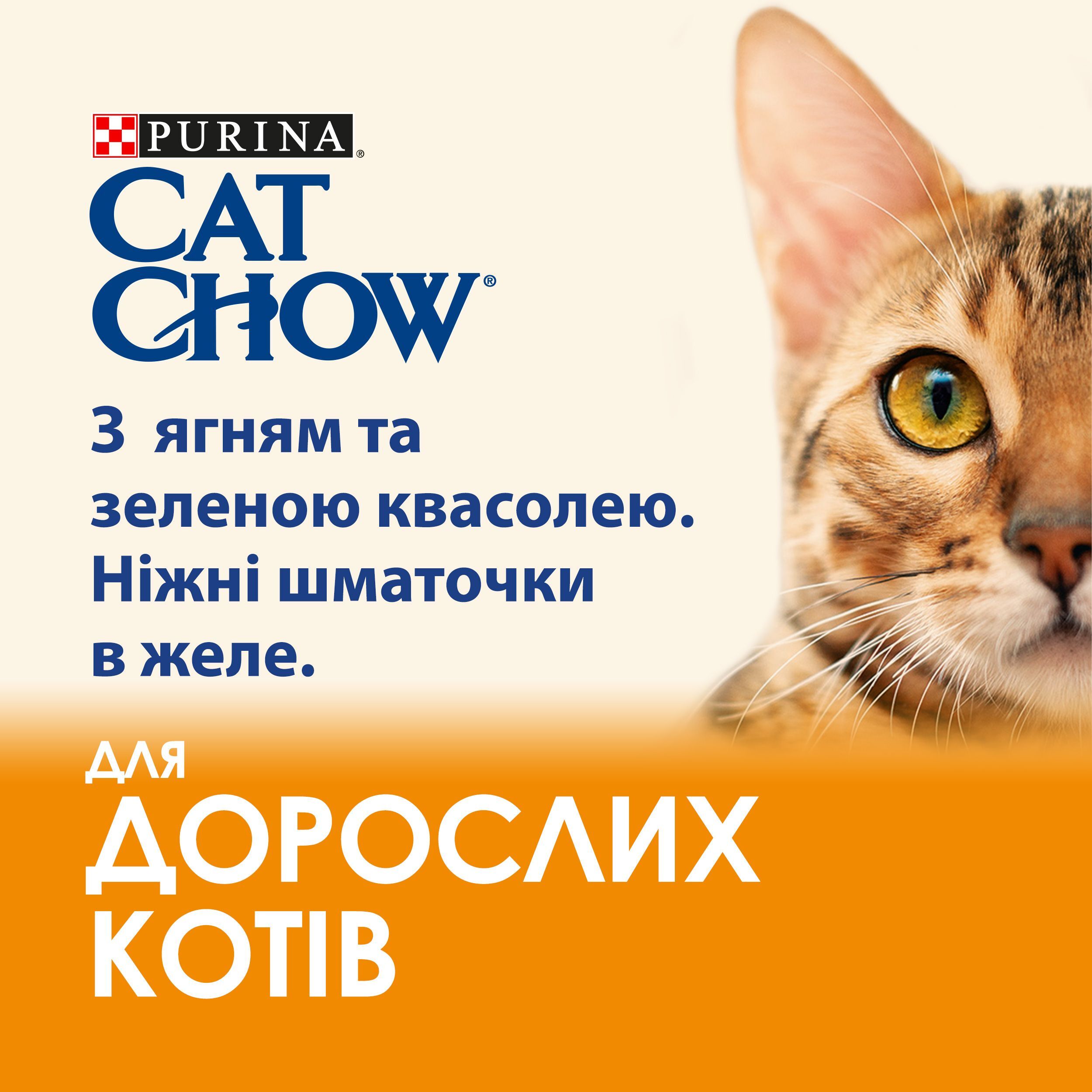 Вологий корм для котів Cat Chow Adult з ягнятком та зеленою квасолею 85гфото