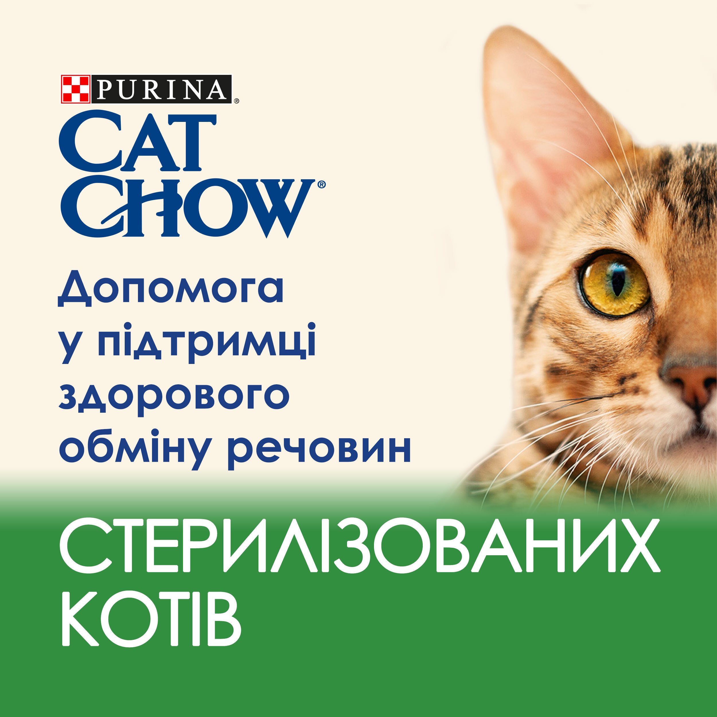 Влажный корм для стерилизованных кошек Cat Chow Sterilised с ягненком и зеленой фасолью, 85 г фото 3