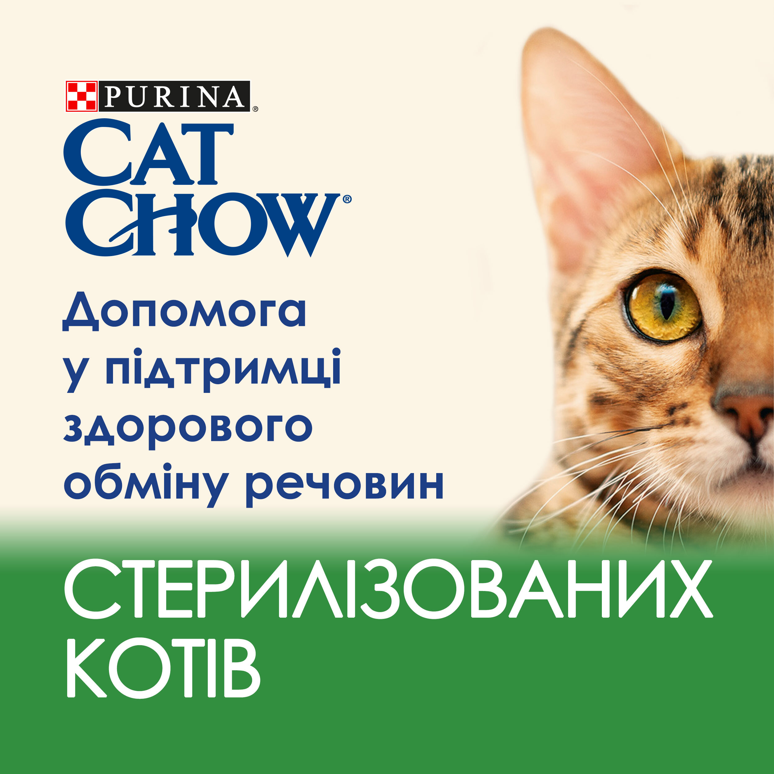 Вологий корм для стерилізованих котів Cat Chow Sterilised з ягнятком та зеленою квасолею 85гфото