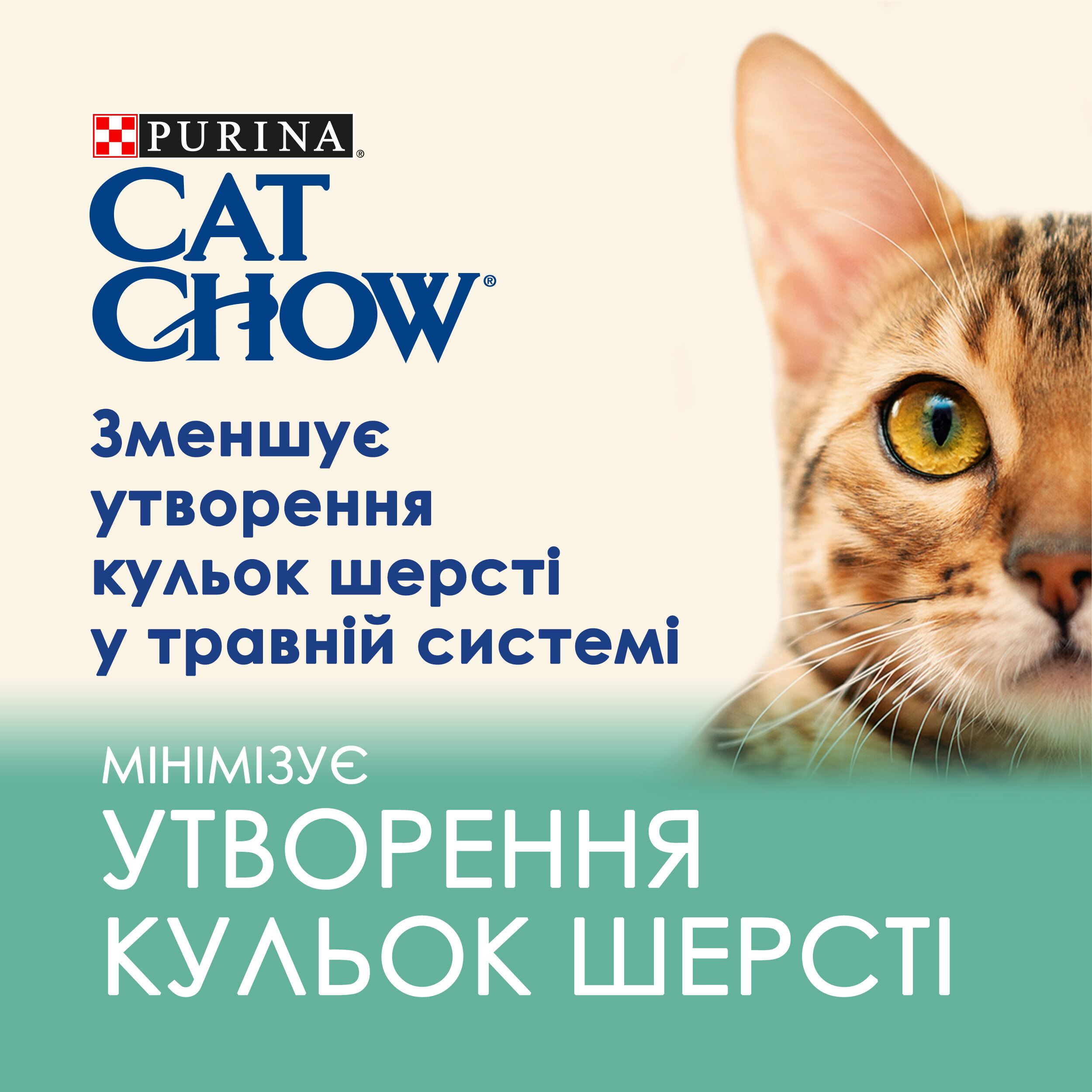 Вологий корм для котів Cat Chow Hairball Control виведення ithcns, з куркою та зеленою квасолею 85гфото