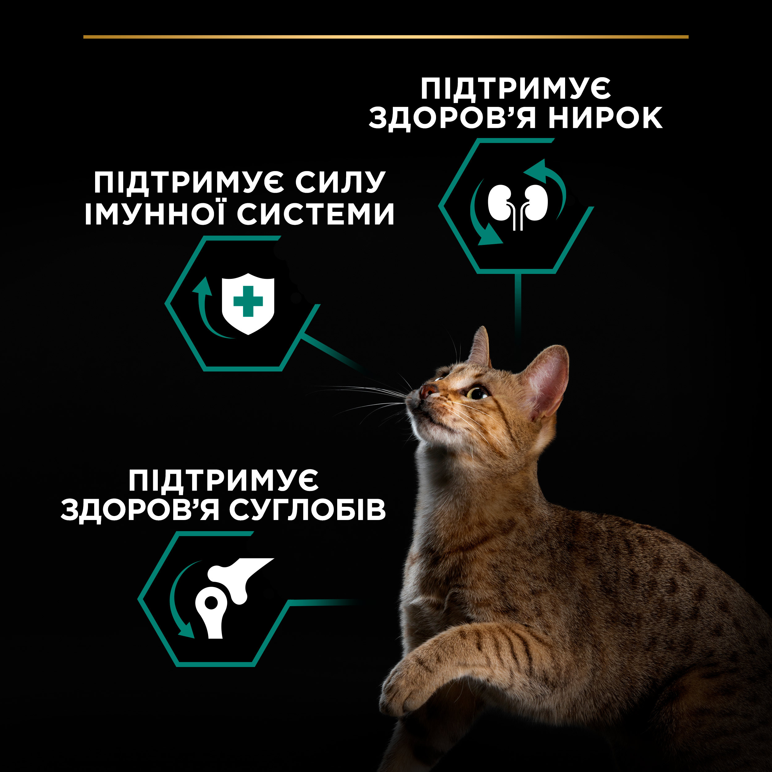 Сухий корм для котів Purina Pro Plan Plan Cat Original Adult з куркою 1.5 кгфото14