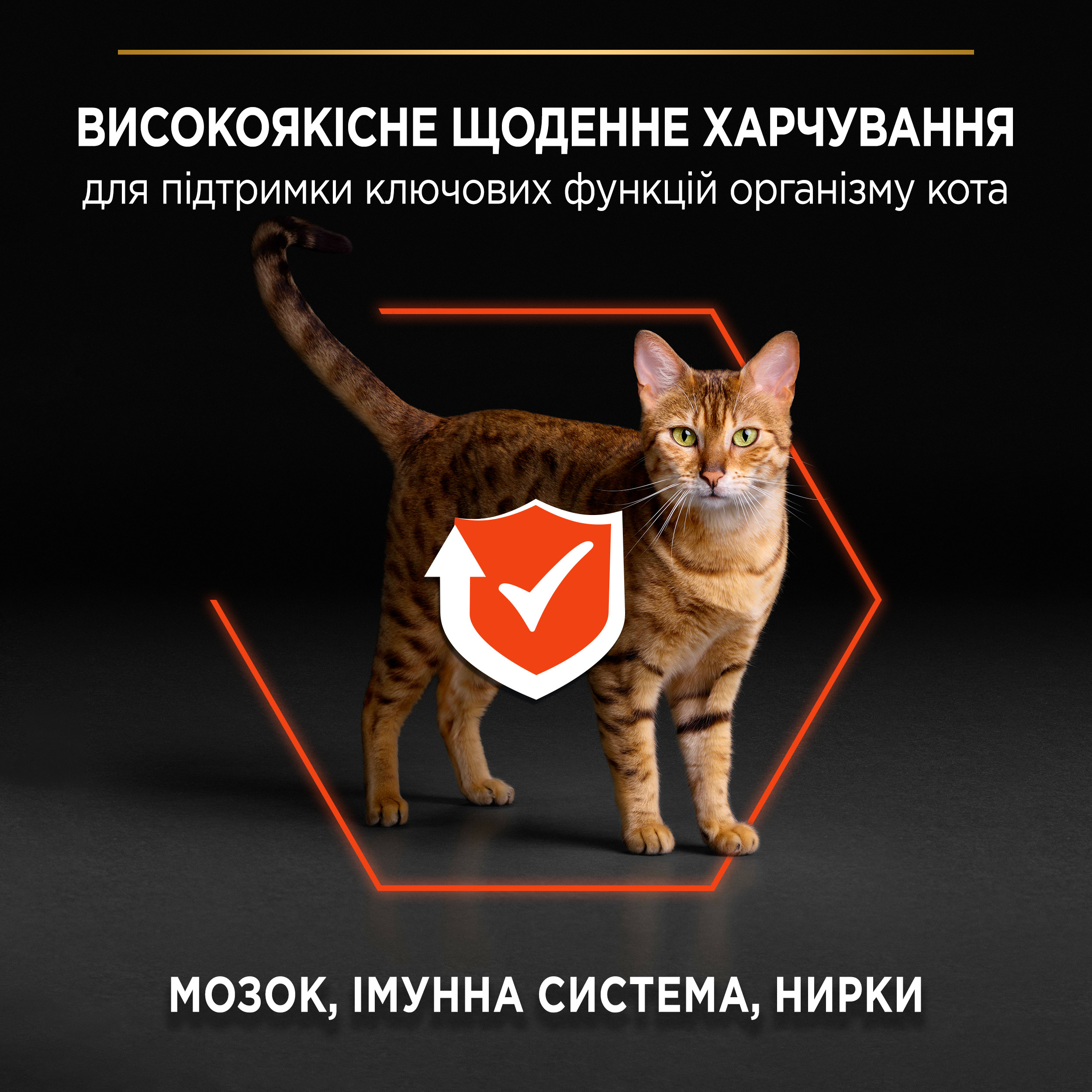 Сухий корм для котів Purina Pro Plan Plan Cat Original Adult с лососем 1.5 кгфото