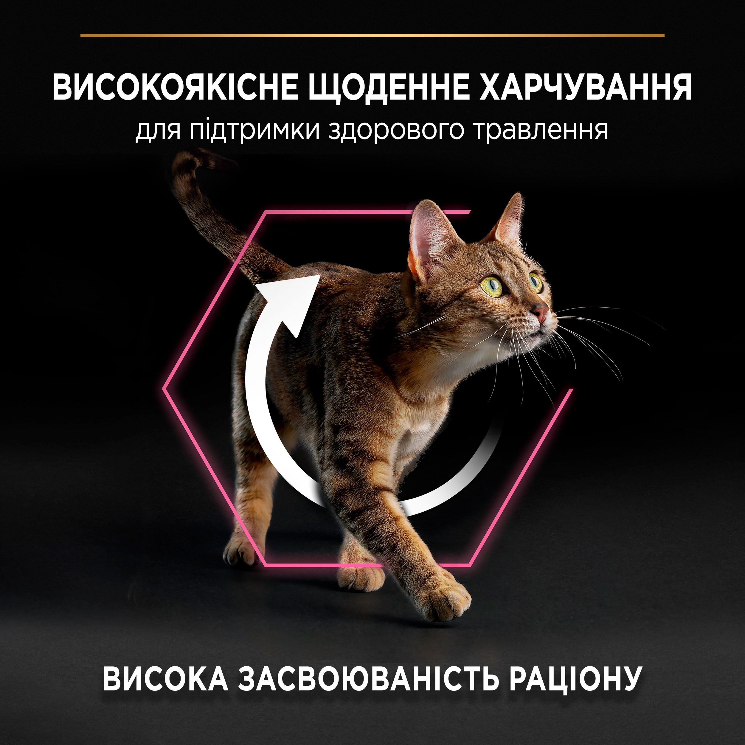 Сухий корм для котів з чутливим травленням Purina Pro Pro Plan Cat Delicate з індичкою 1.5 кгфото5