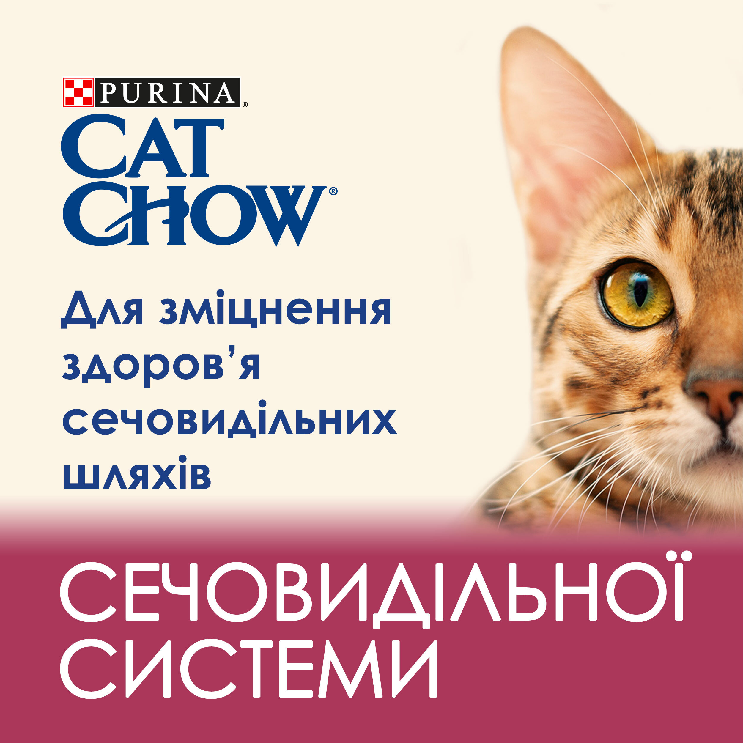 Сухий корм для котів Cat Chow Urinary Tract Health з куркою 15кгфото