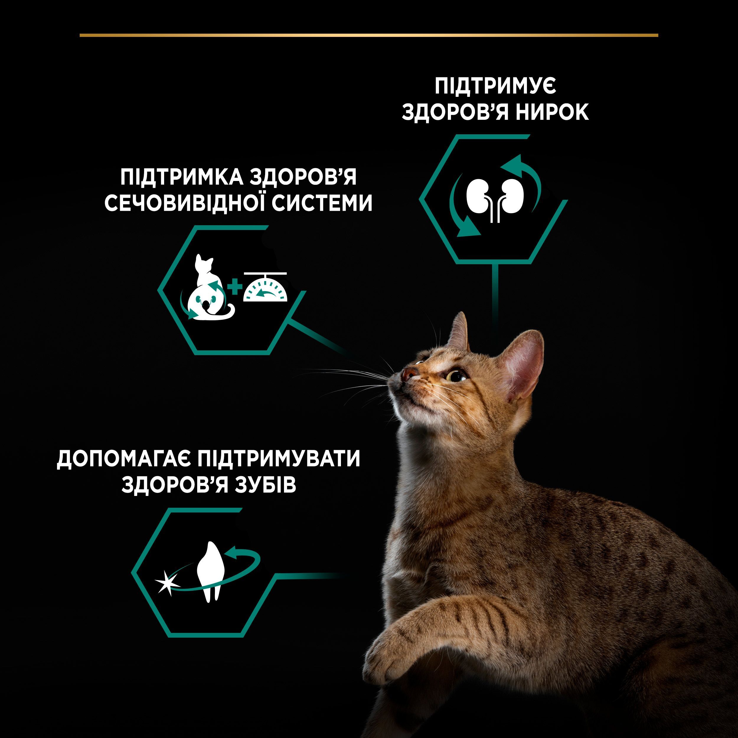 Сухий корм для стерилізованих котів Purina Pro: Plan Cat Cat Sterilised з індичкою 1.5 кгфото6