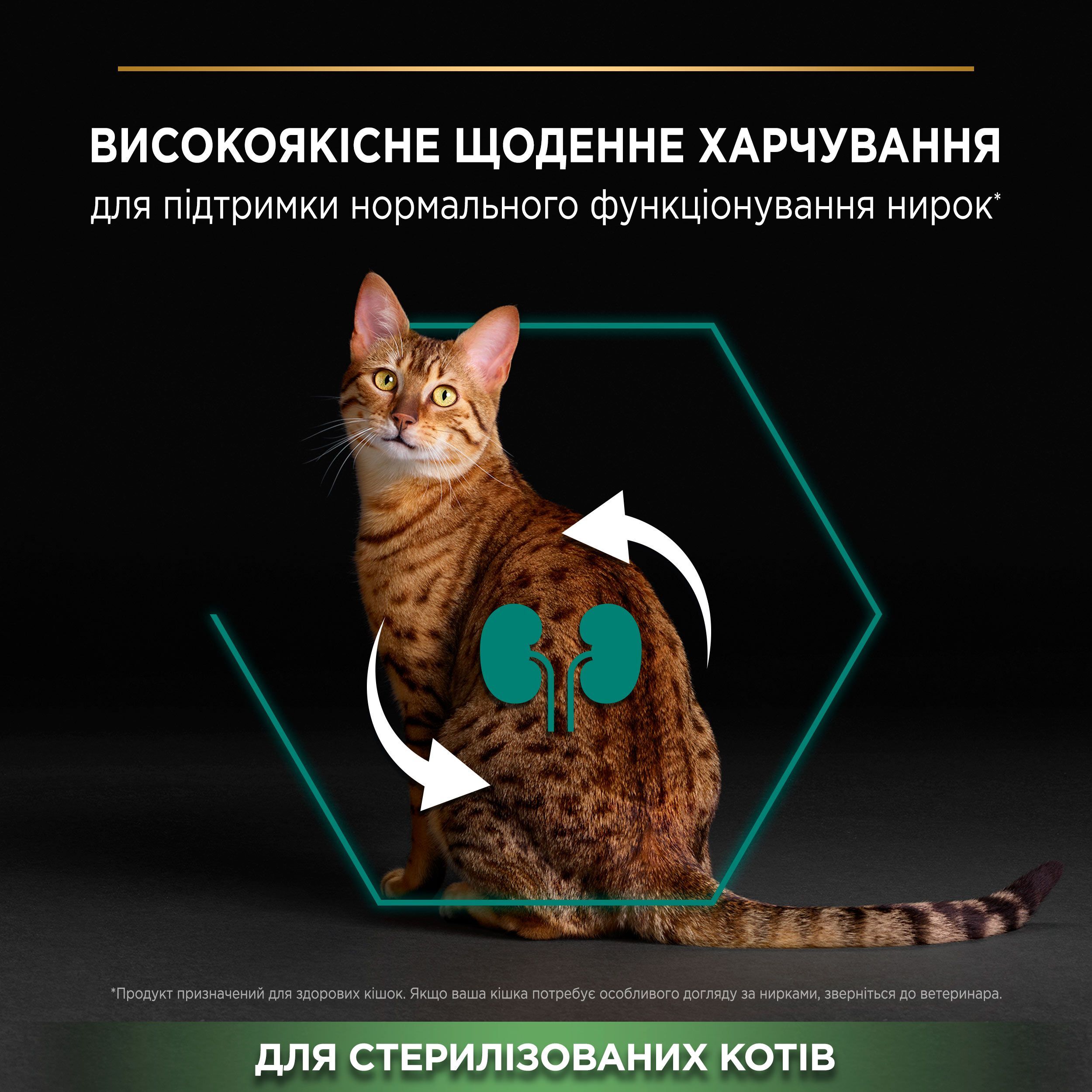 Сухий корм для стерилізованих котів Purina Pro: Plan Cat Cat Sterilised з індичкою 1.5 кгфото5