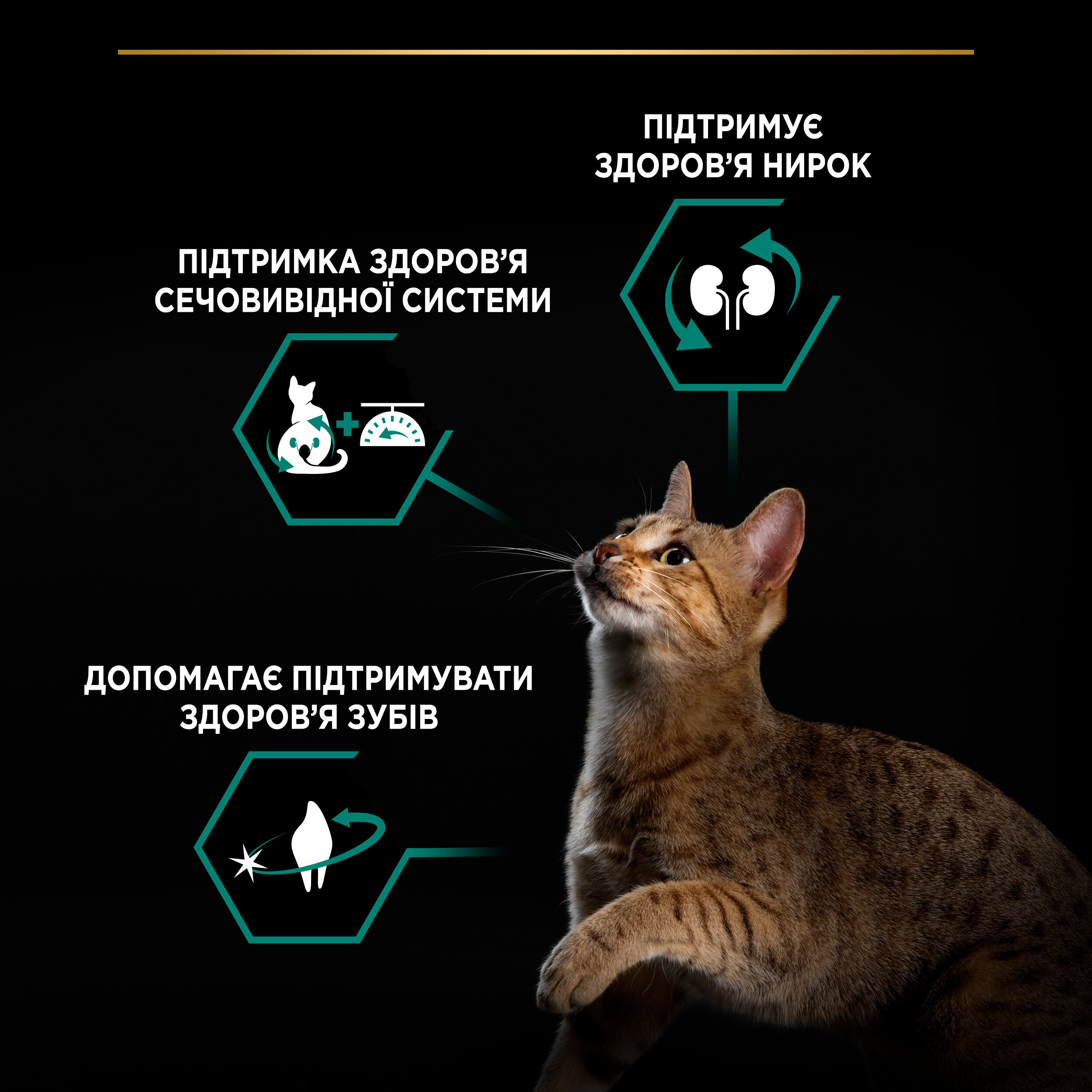 Сухой корм для стерилизованных котов Purina Pro Plan Cat Sterilised с индейкой 3 кг фото 6