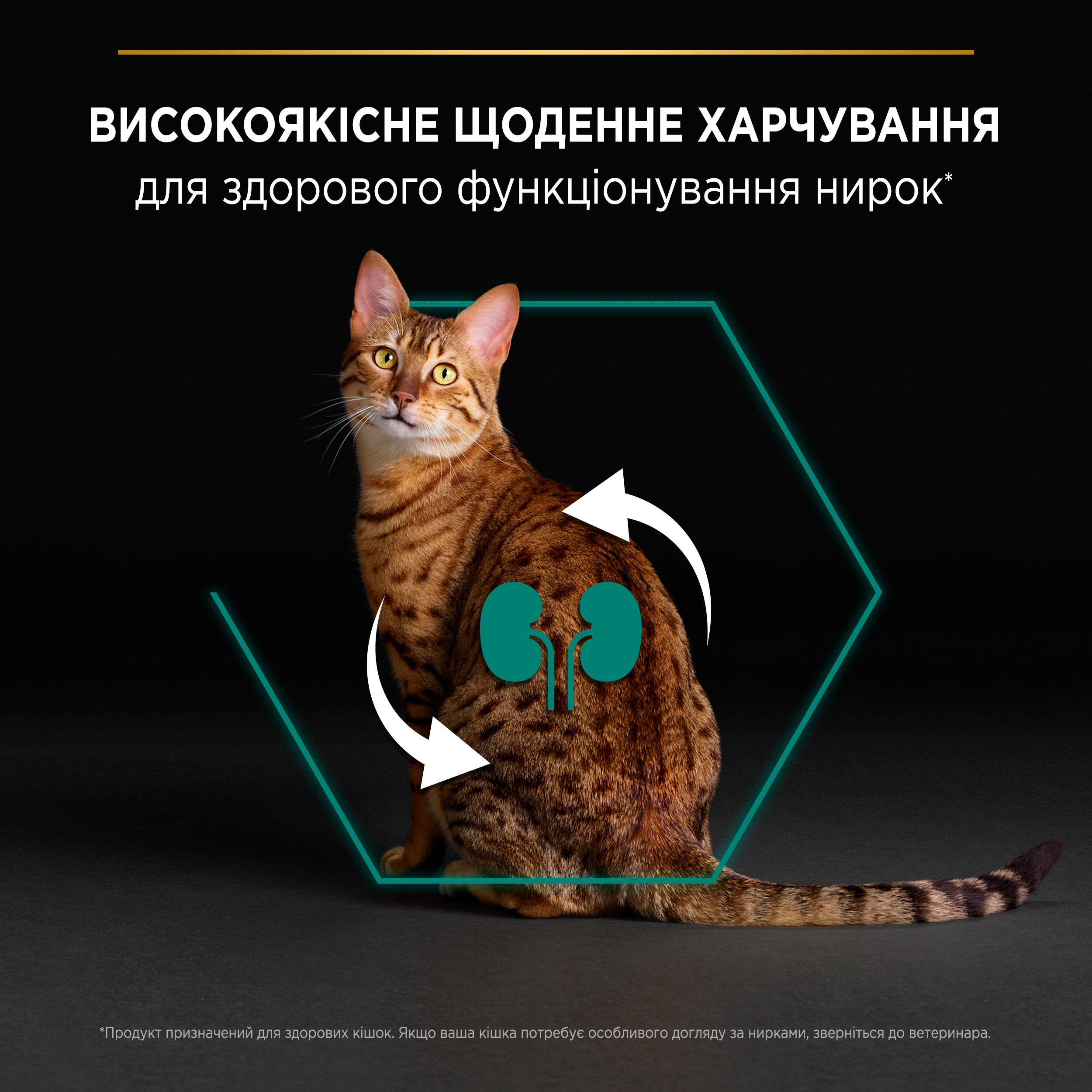 Сухой корм для котов Purina Pro Plan Cat Original Adult с курицей 10 кг фото 