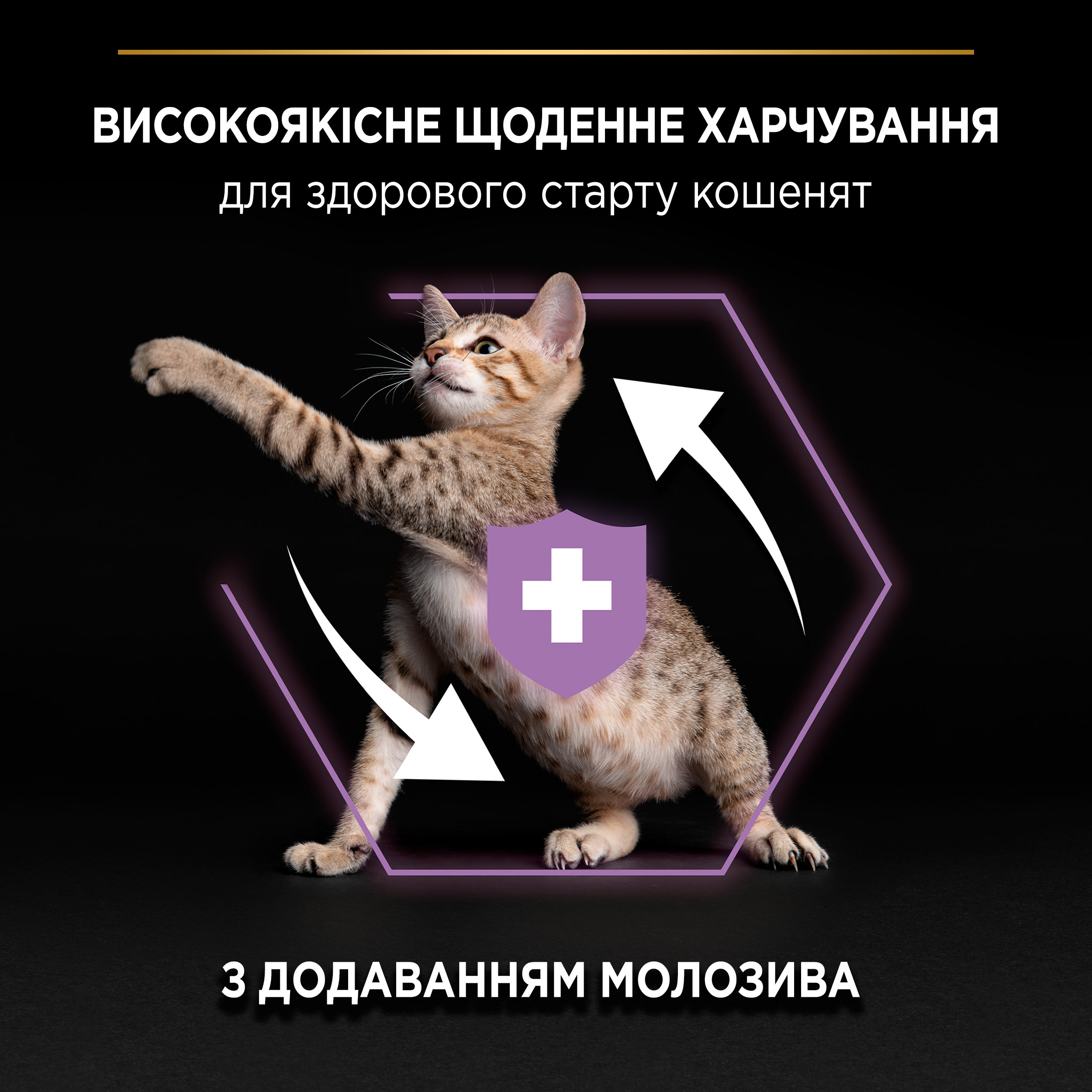 Сухий корм для кошенят Purina Pro Plan Original Kitten з куркою 10 кгфото12
