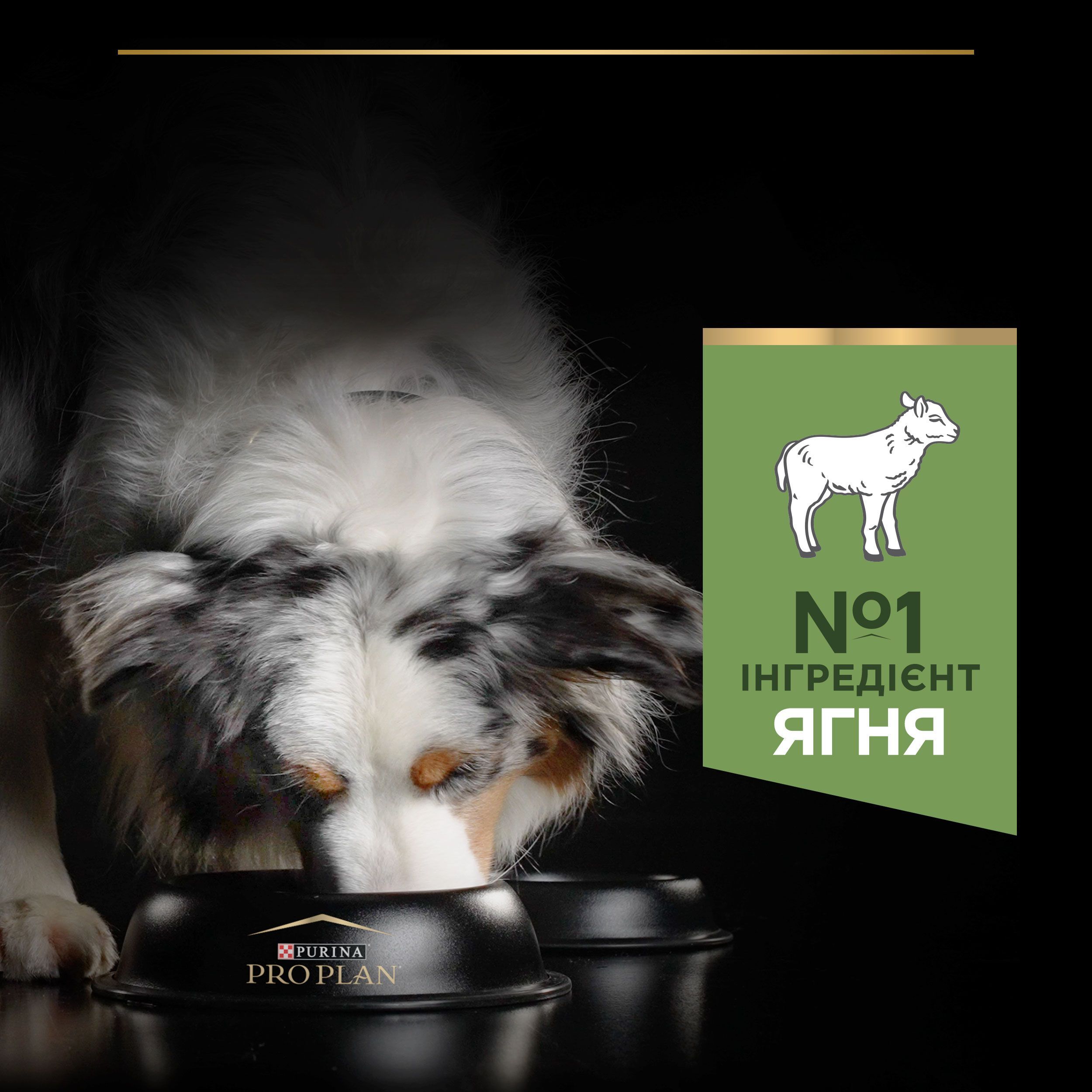 Сухий корм для собак середніх порід з чутливим травленням Purina Pro Plan Medium Sensitive ягня 3 кгфото