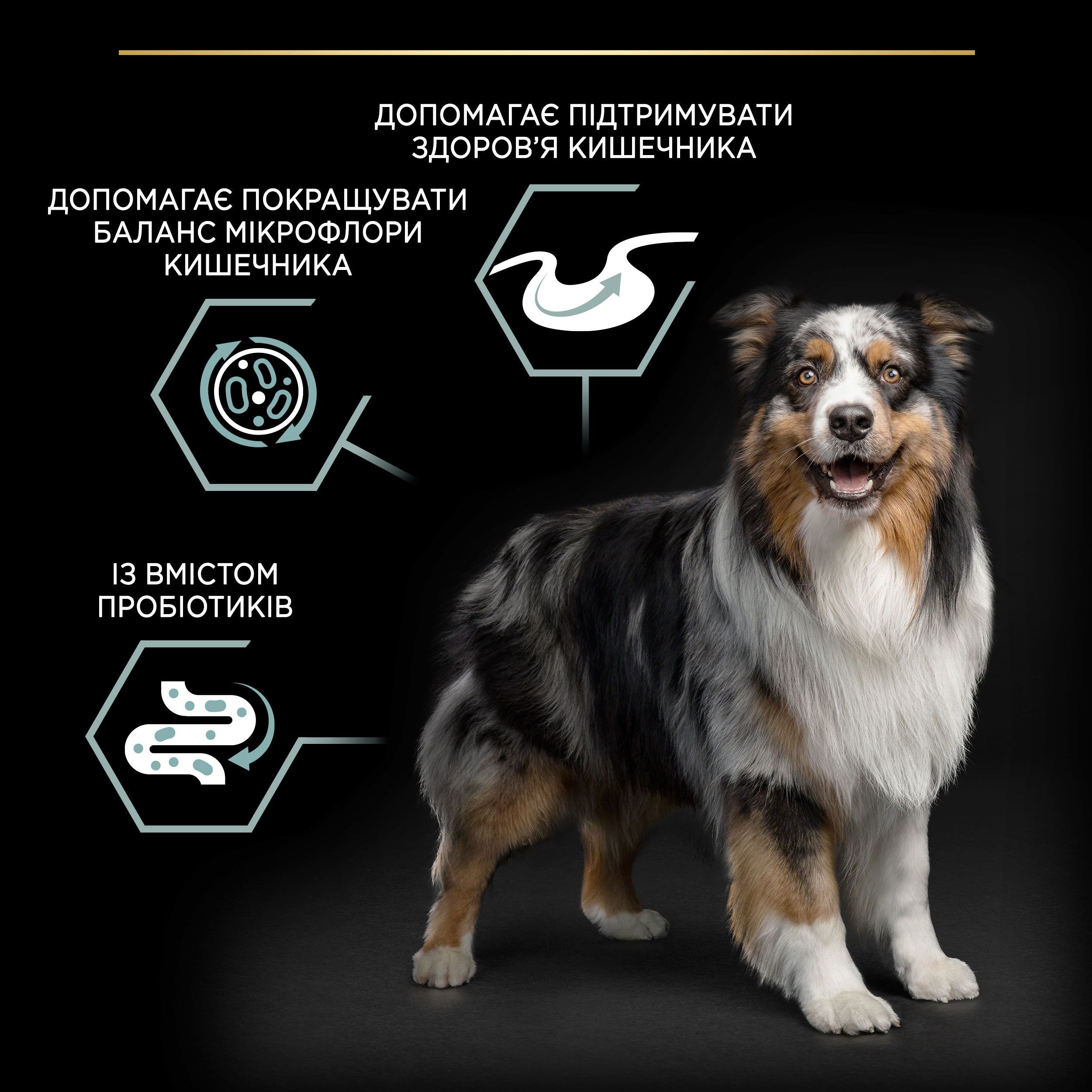 Сухий корм для собак середніх порід з чутливим травленням Purina Pro Plan Medium Sensitive ягня 3 кгфото