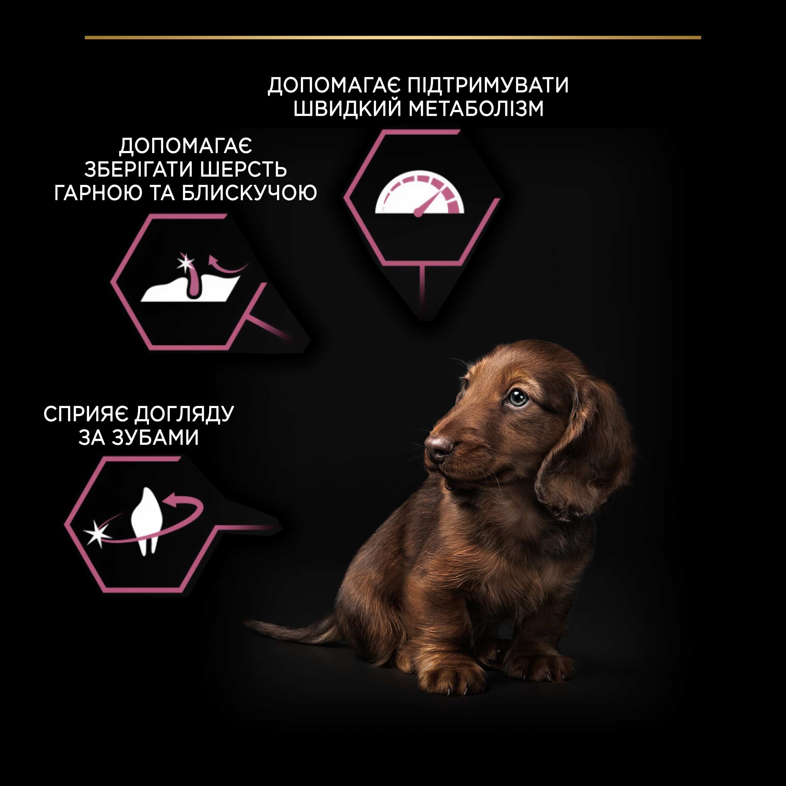 Сухий корм для цуценят малих порід з чутливою шкірою Purina ProPlan Puppy з лососем 3 кгфото