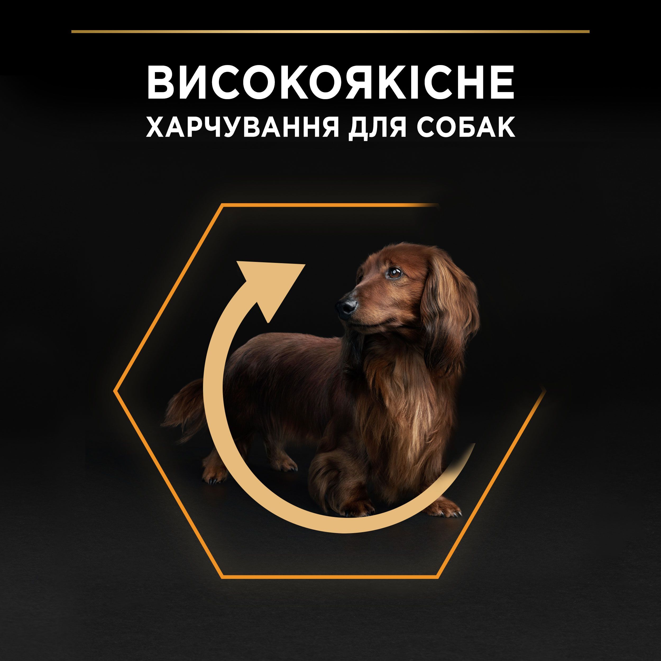 Сухий корм для дорослих собак дрібних порід Purina Pro Plan Small&amp;Mini Adult з куркою 7 кгфото