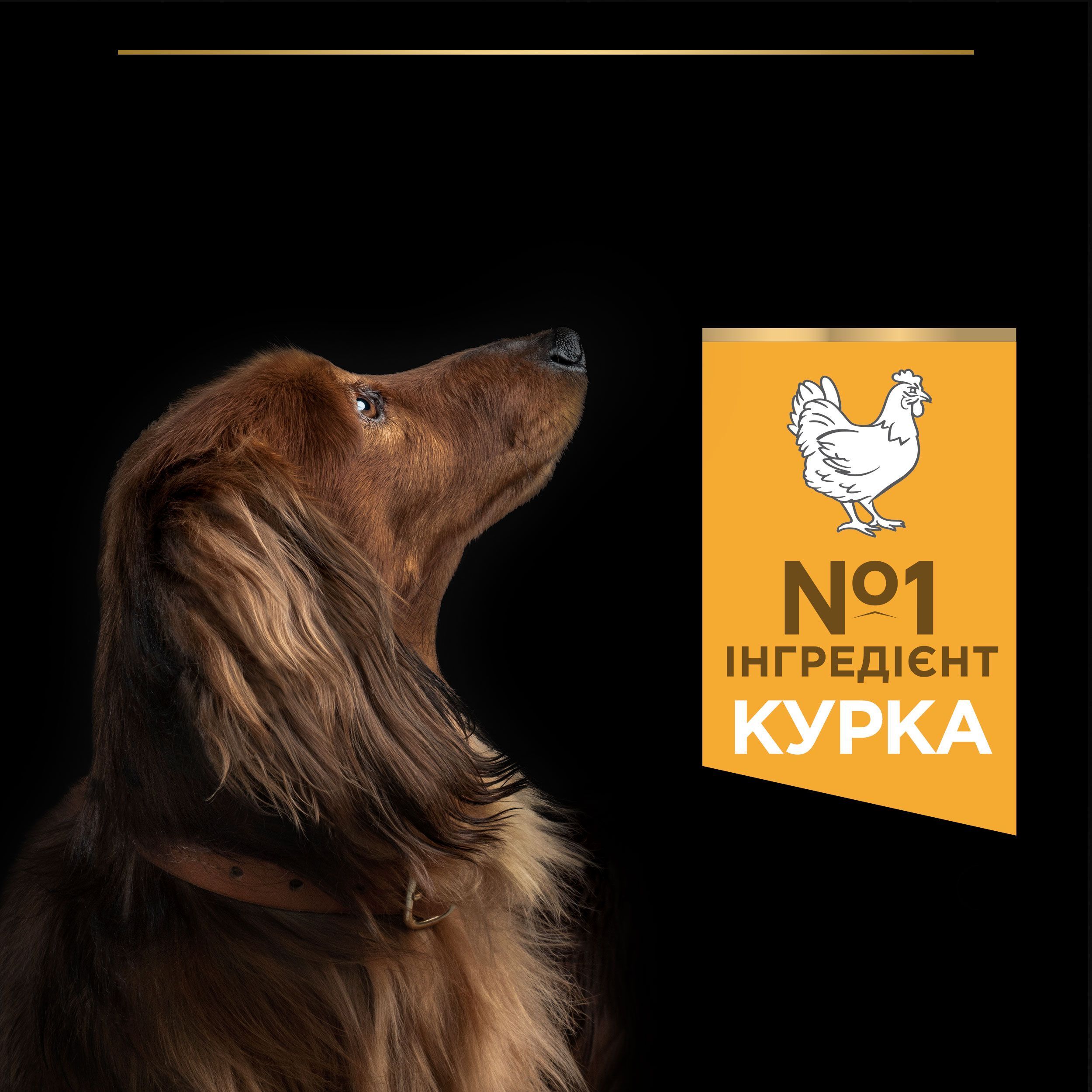 Сухий корм для дорослих собак дрібних порід Purina Pro Plan Small&amp;Mini Adult з куркою 7 кгфото