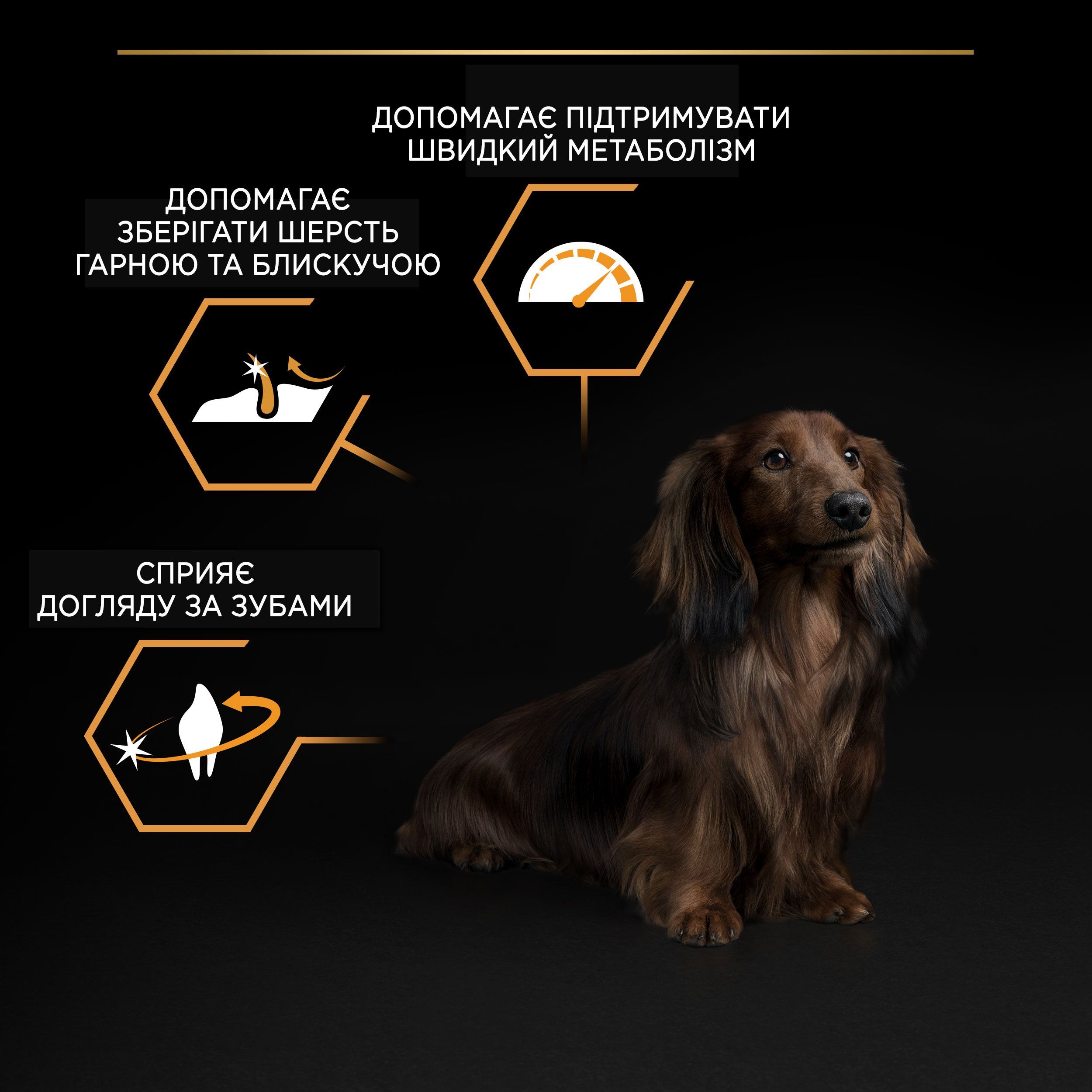 Сухий корм для дорослих собак дрібних порід Purina Pro Plan Small&amp;Mini Adult з куркою 7 кгфото